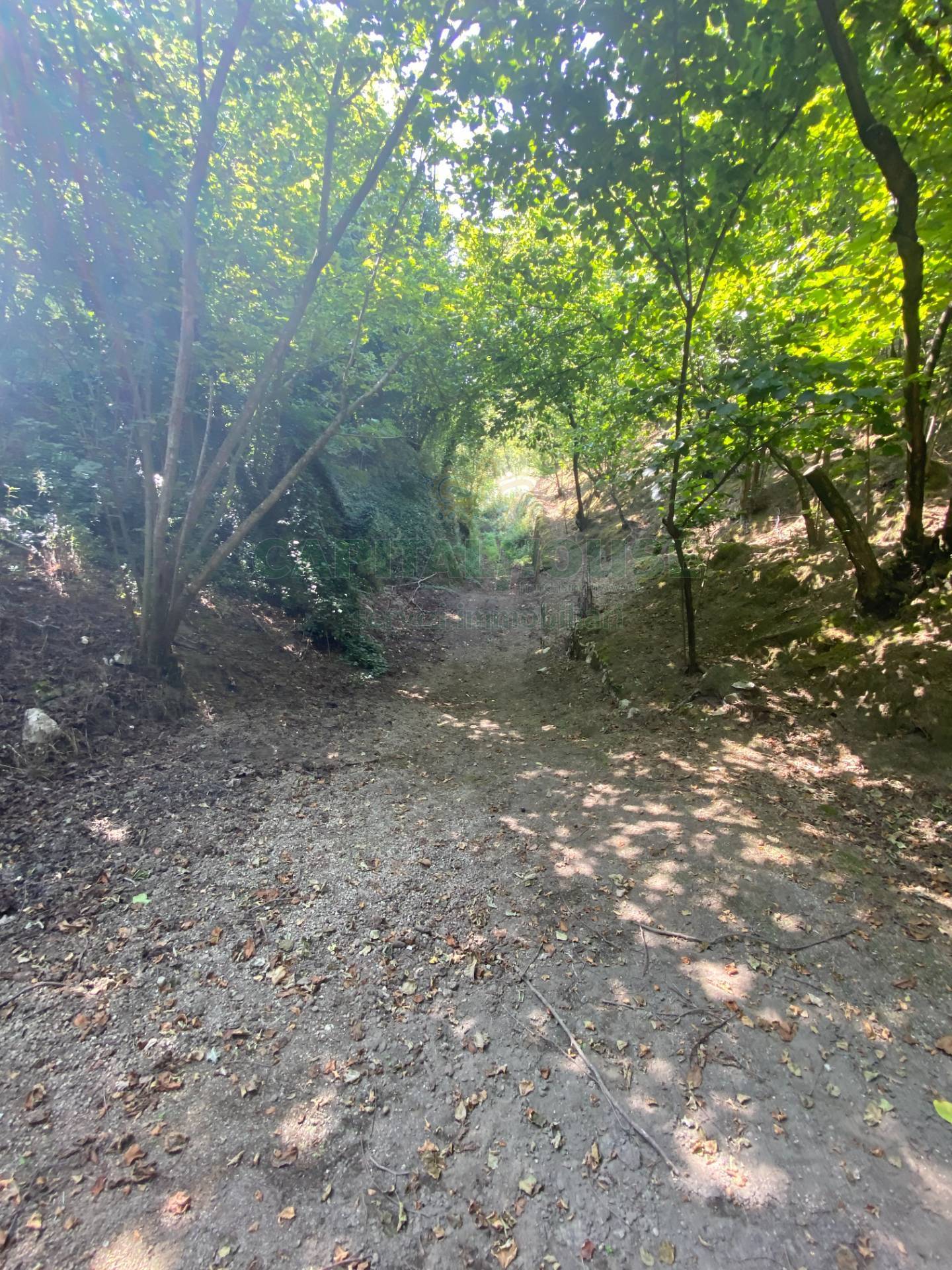 Terreno agricolo in vendita a Palma Campania