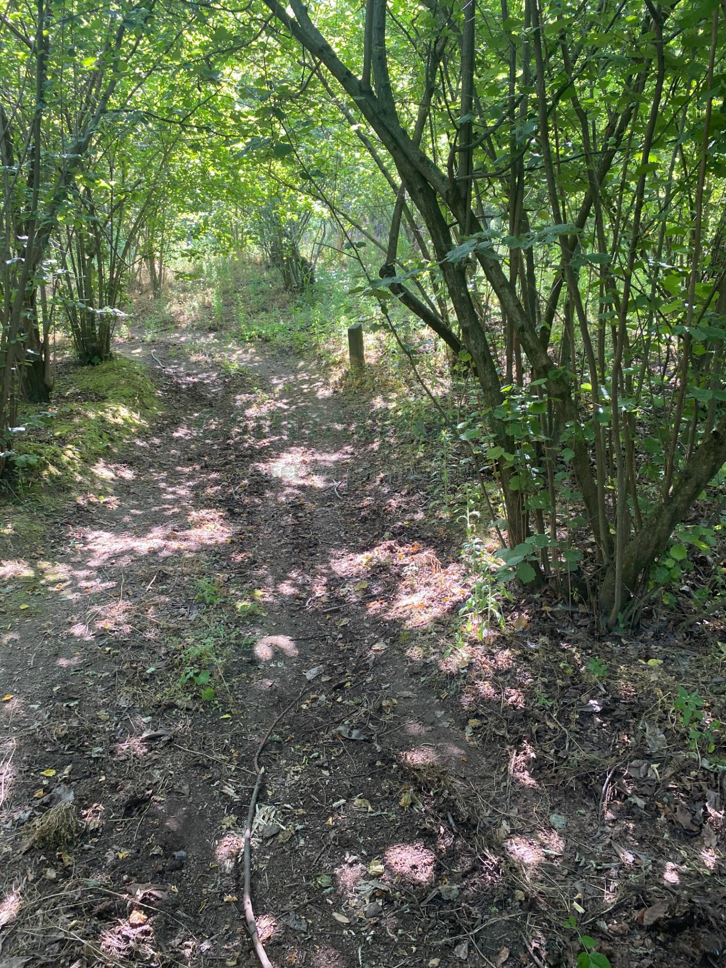 Terreno agricolo in vendita a Palma Campania