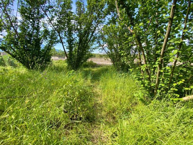 Terreno agricolo in vendita a Terzigno