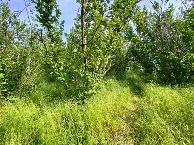 Terreno agricolo in vendita a Terzigno