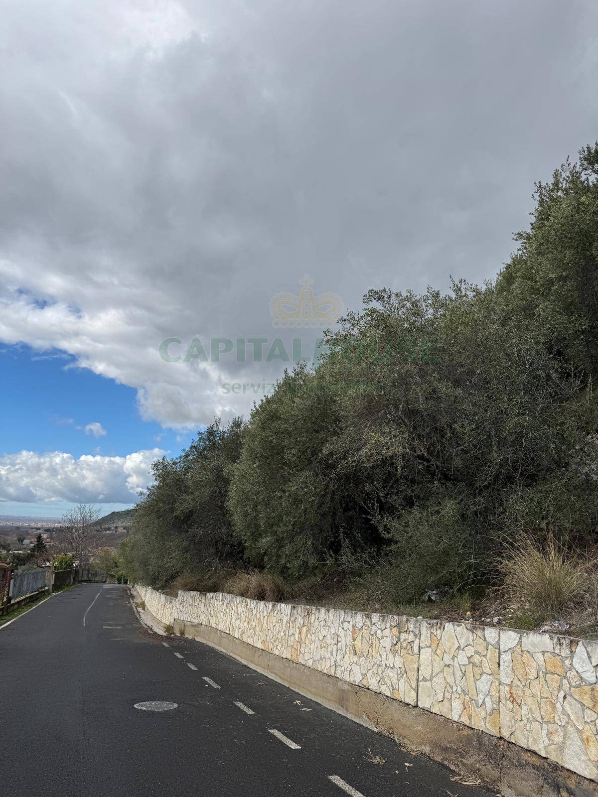 Terreno agricolo in vendita a Pago del Vallo di Lauro