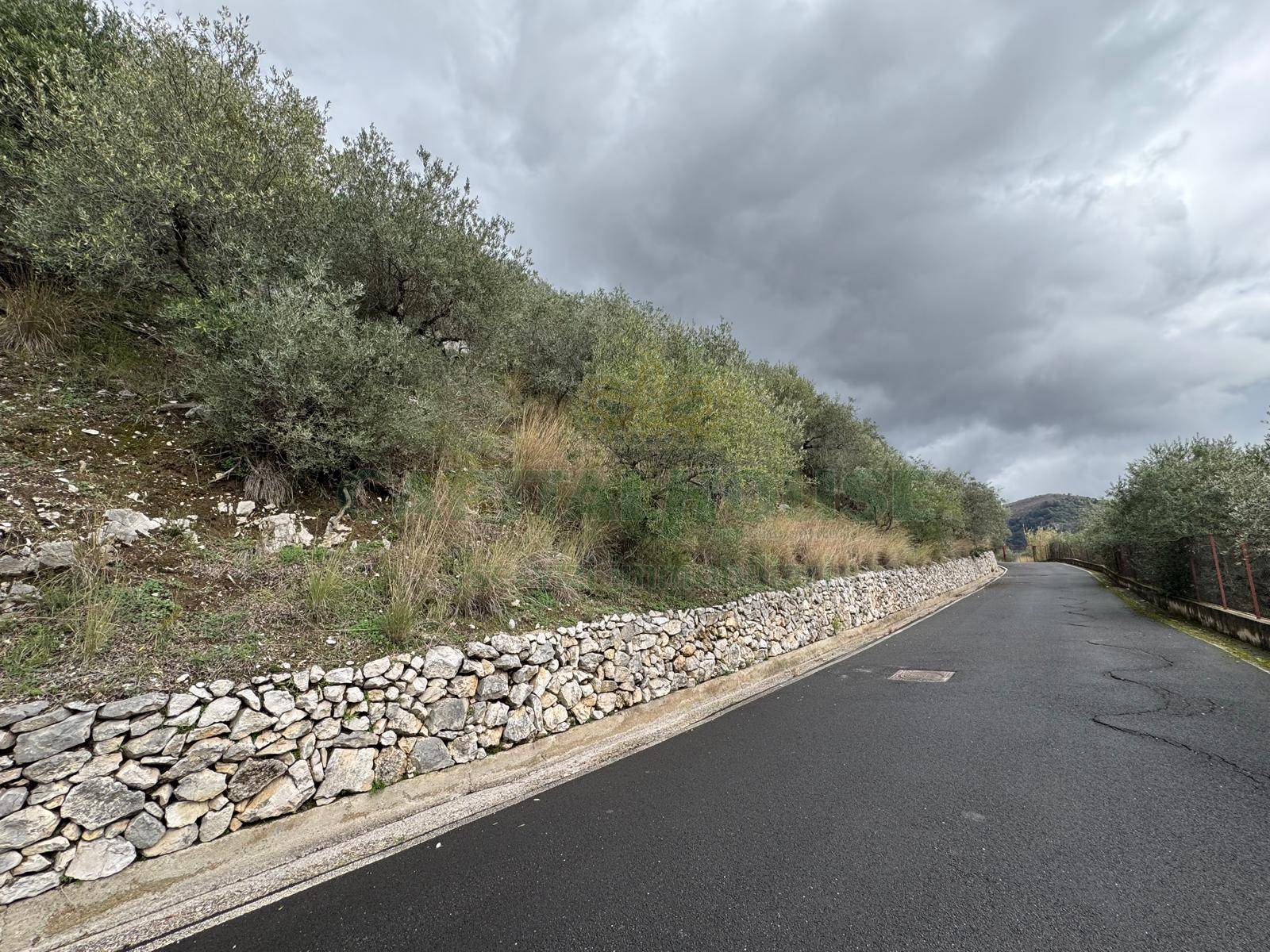 Terreno agricolo in vendita a Pago del Vallo di Lauro