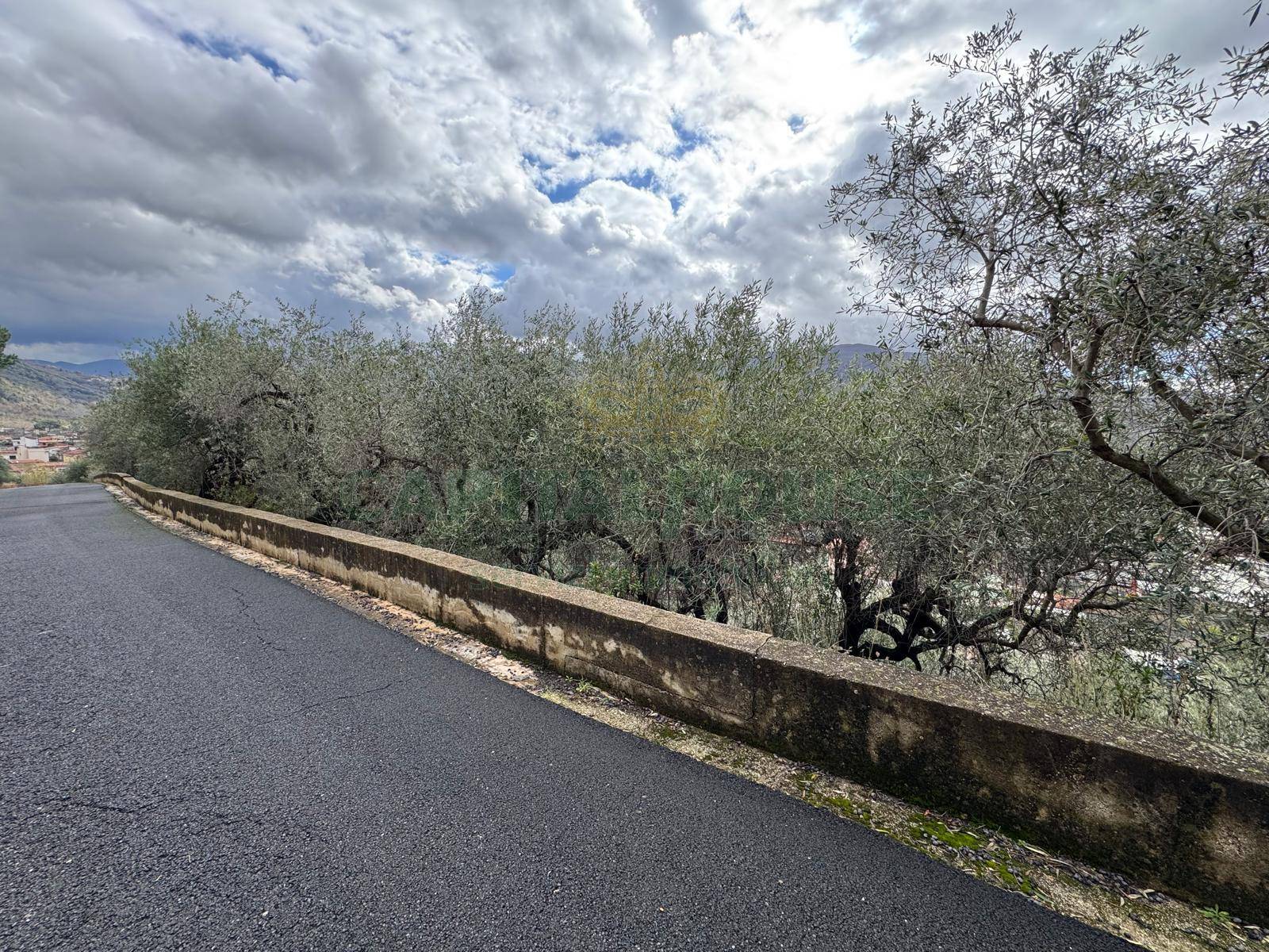 Terreno agricolo in vendita a Pago del Vallo di Lauro