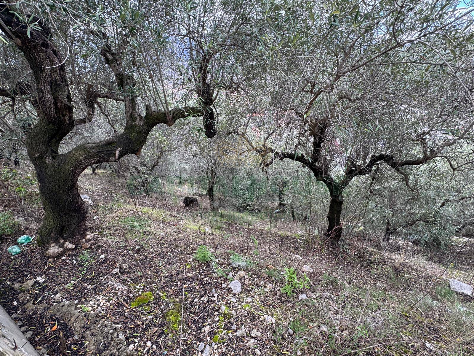 Terreno agricolo in vendita a Pago del Vallo di Lauro
