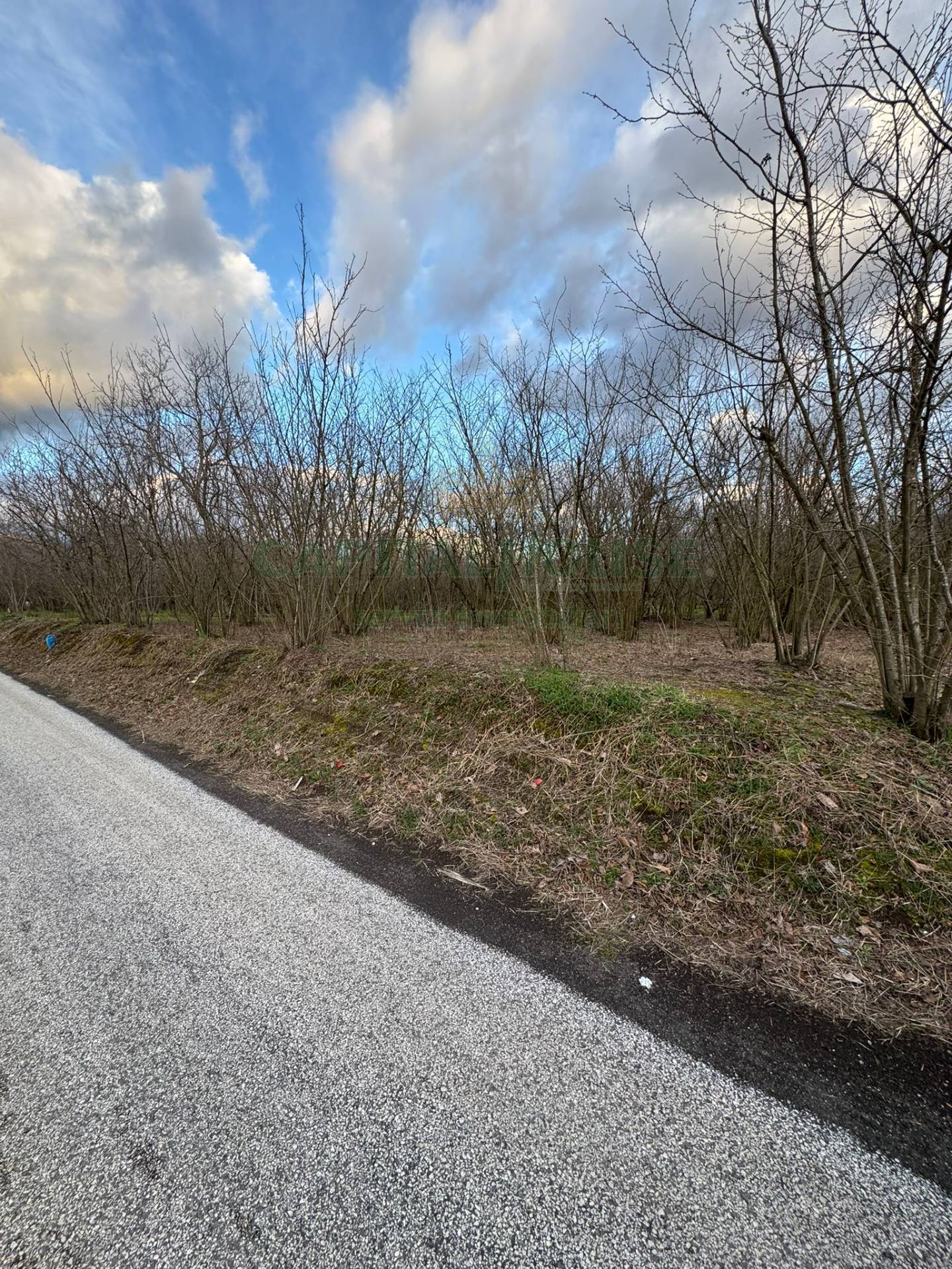 Terreno agricolo in vendita a Carbonara di Nola