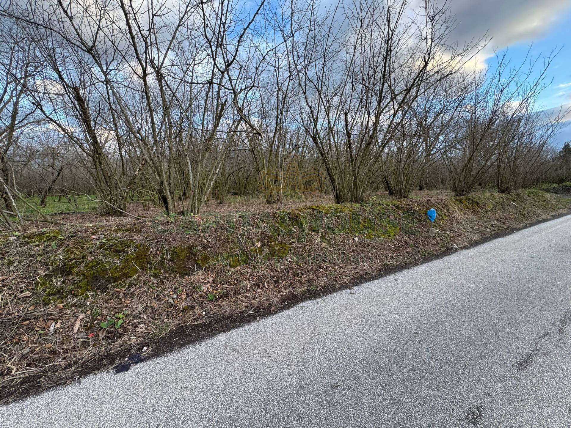 Terreno agricolo in vendita a Carbonara di Nola