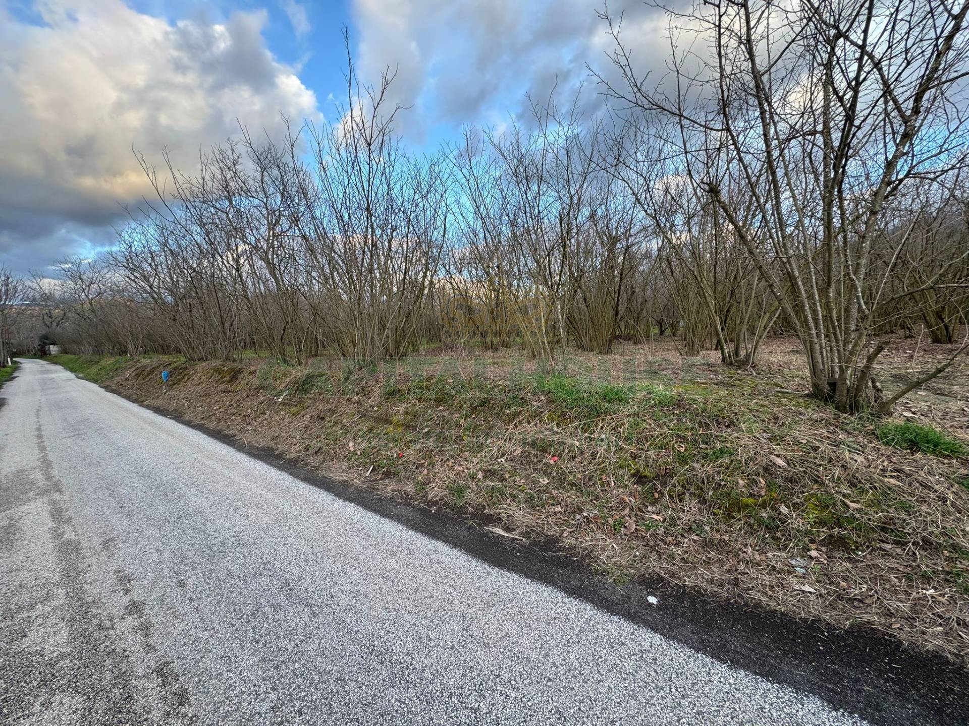 Terreno agricolo in vendita a Carbonara di Nola