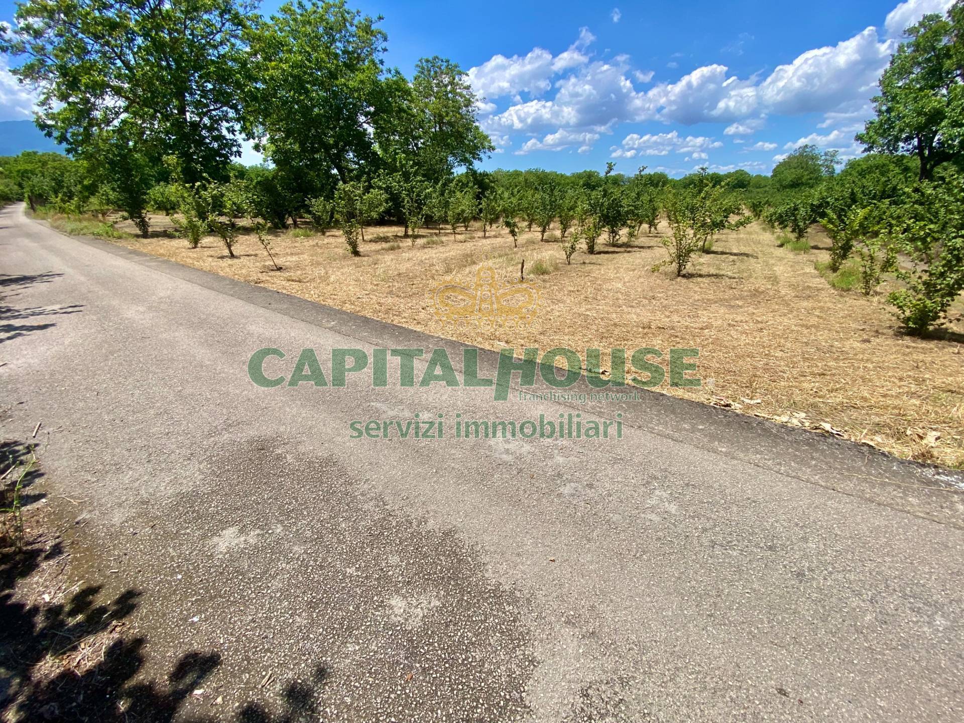 Terreno agricolo in vendita a Carbonara di Nola