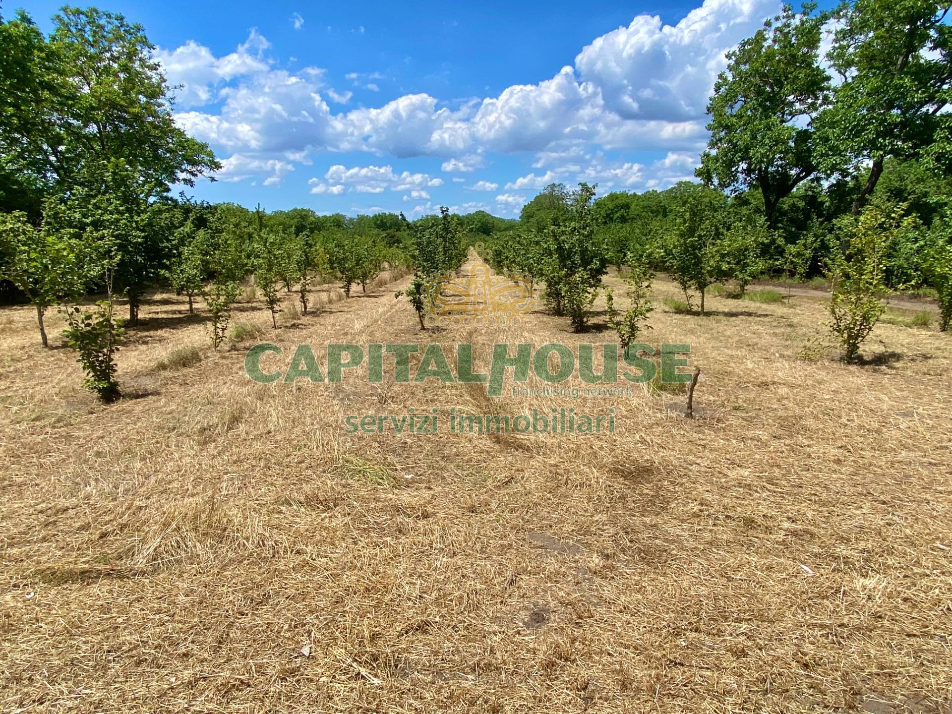 Terreno agricolo in vendita a Carbonara di Nola
