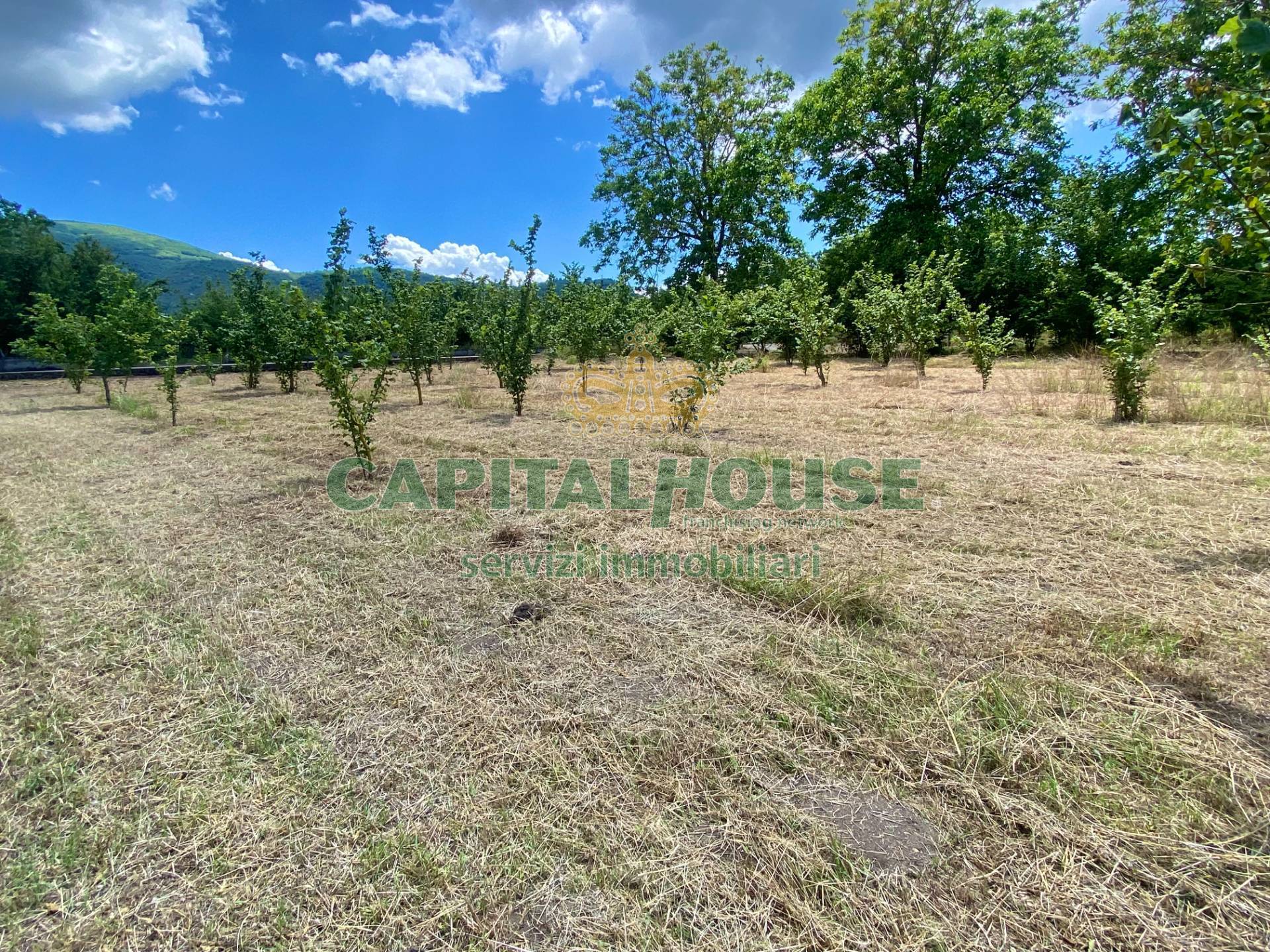 Terreno agricolo in vendita a Carbonara di Nola