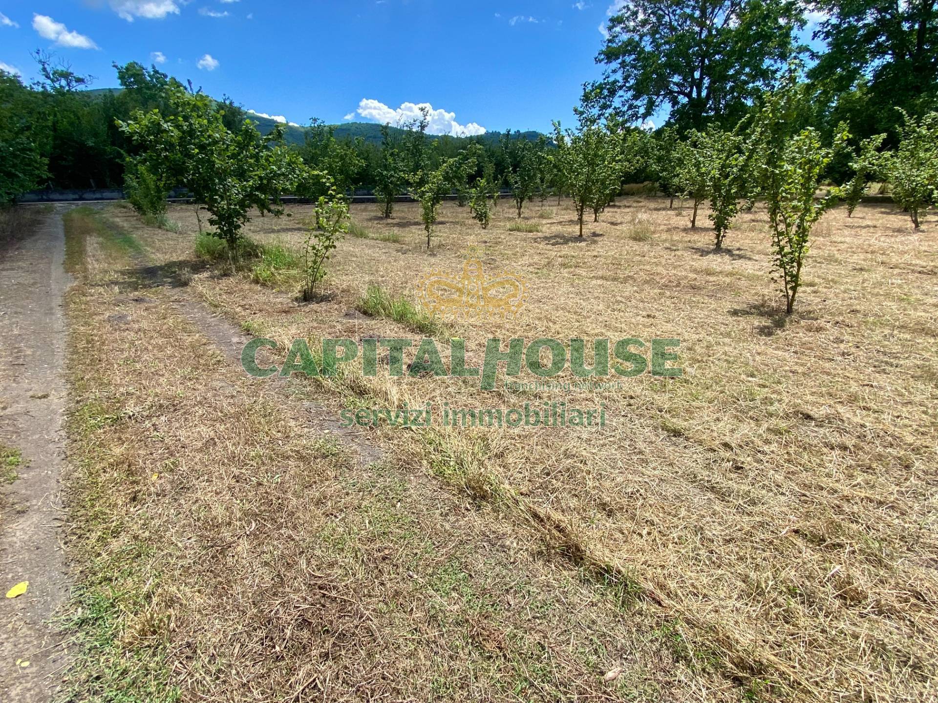 Terreno agricolo in vendita a Carbonara di Nola