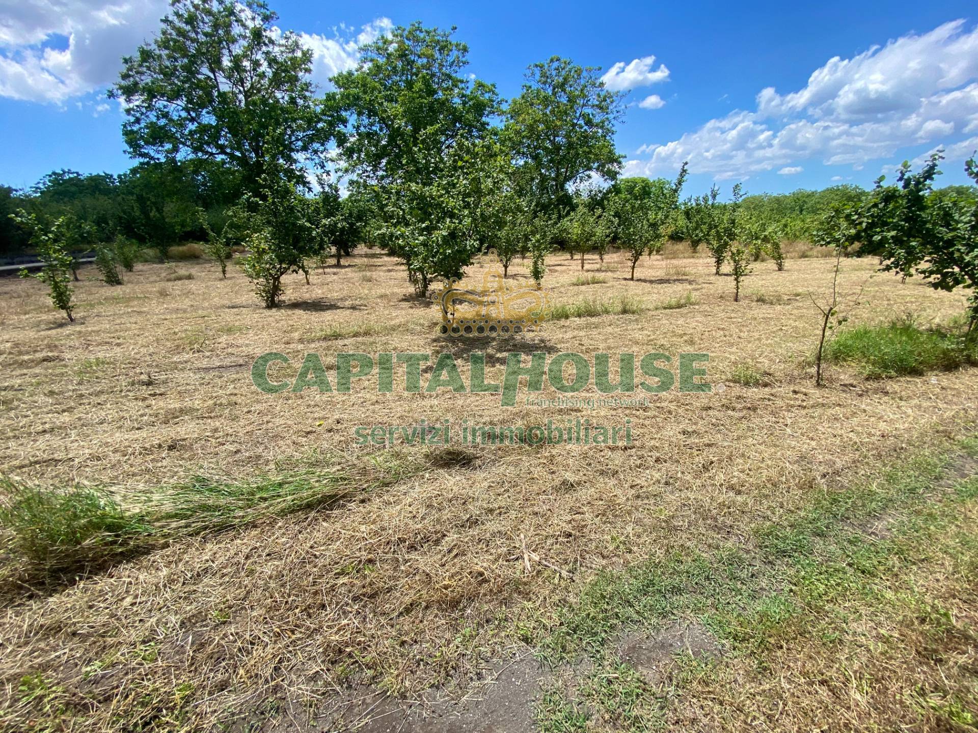 Terreno agricolo in vendita a Carbonara di Nola