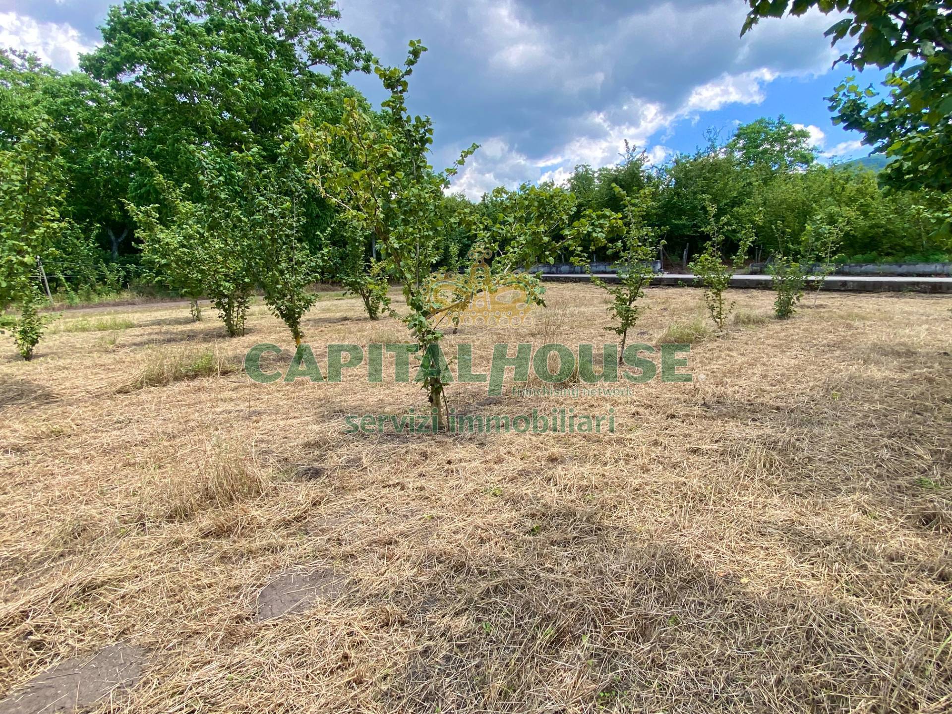 Terreno agricolo in vendita a Carbonara di Nola