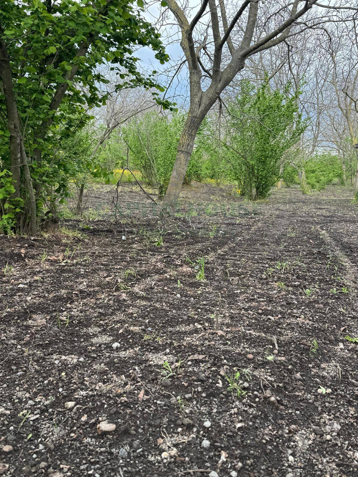 Terreno edificabile in vendita a San Giuseppe Vesuviano
