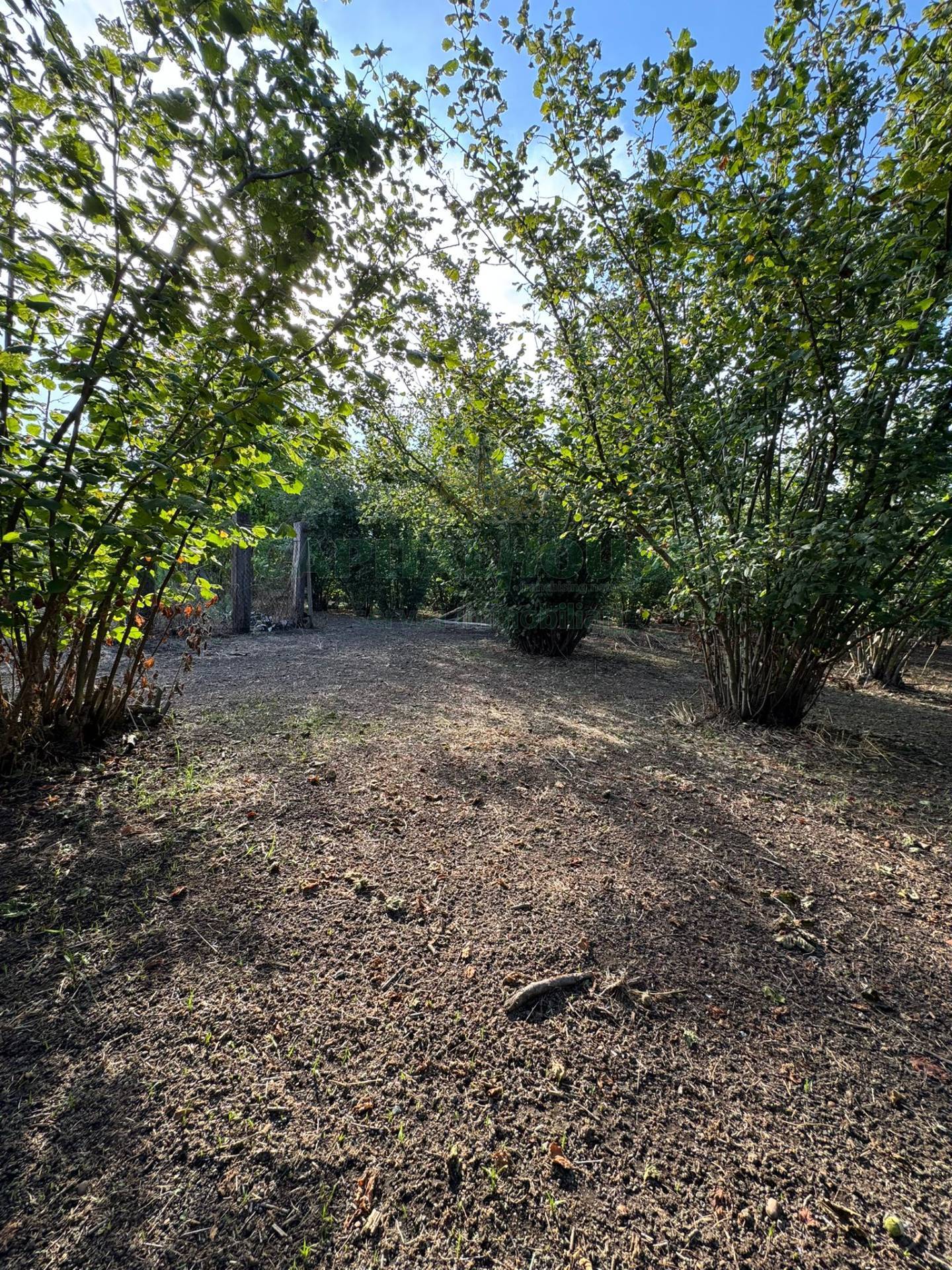 Terreno agricolo in vendita a Boscoreale