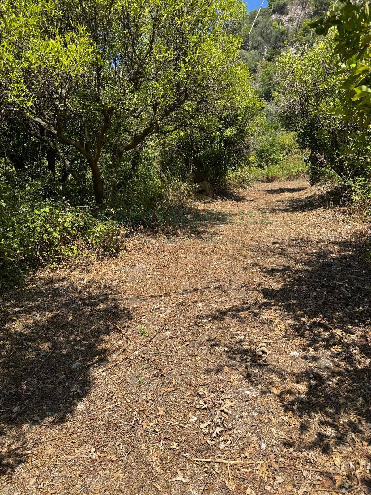 Terreno agricolo - Rudere in vendita a Palma Campania