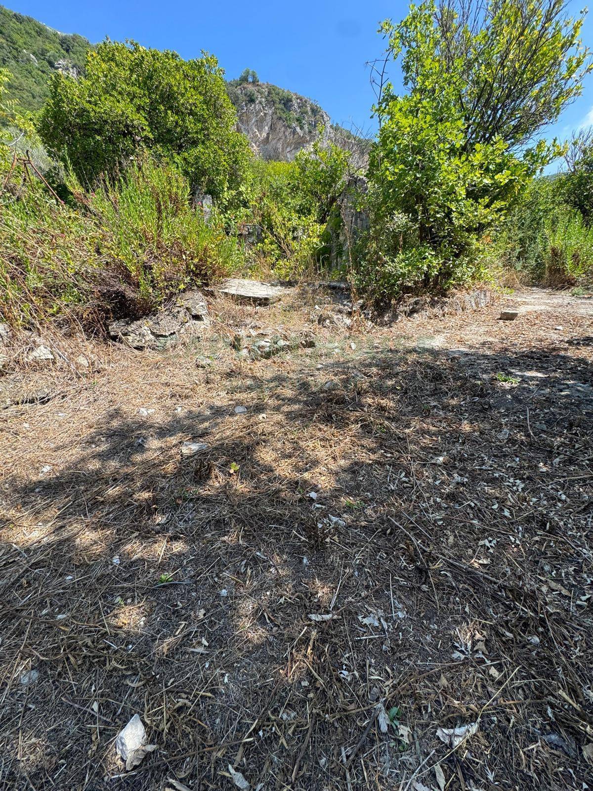 Terreno agricolo - Rudere in vendita a Palma Campania
