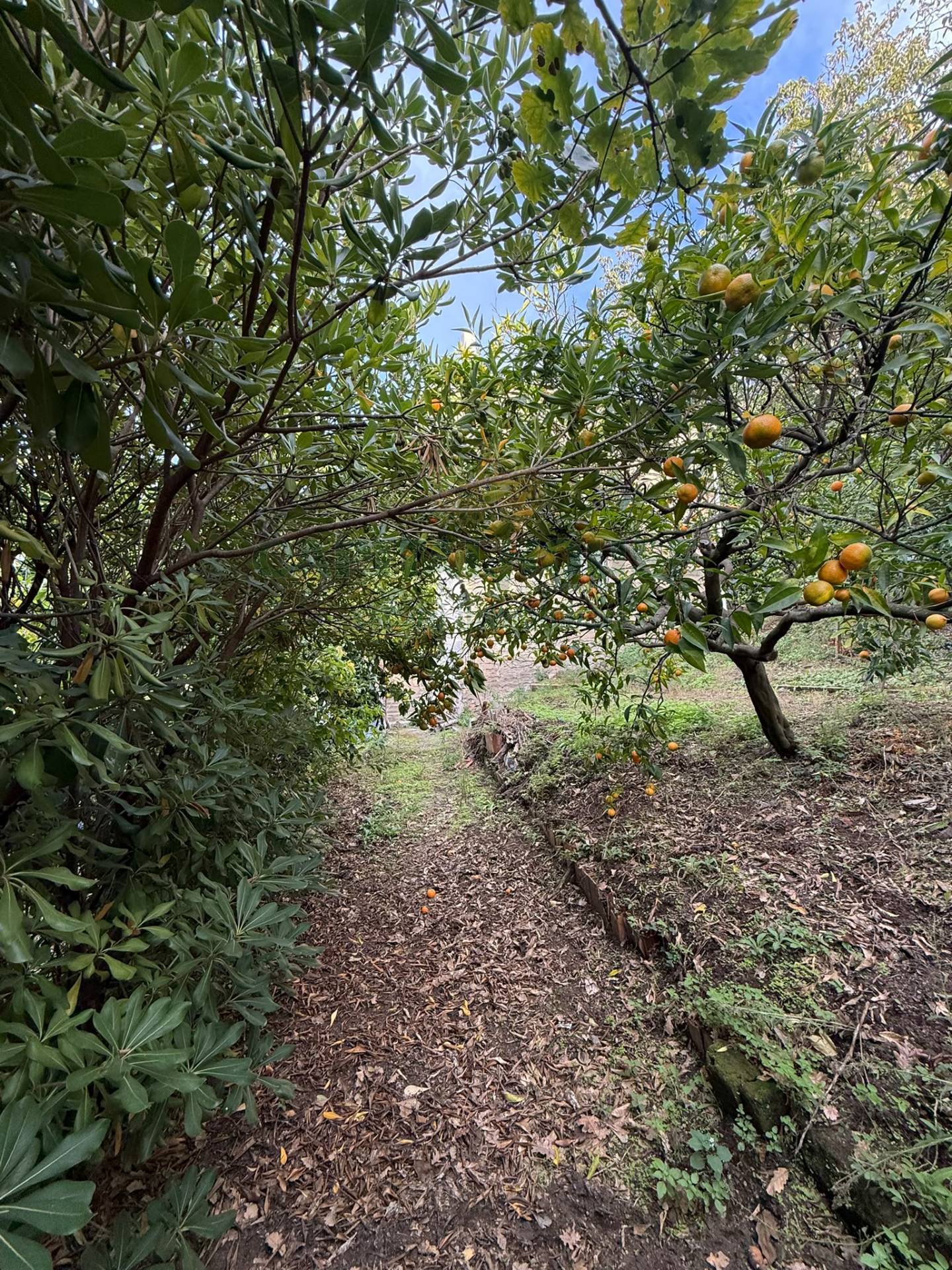 Indipendente in vendita a Palma Campania, vico di palma