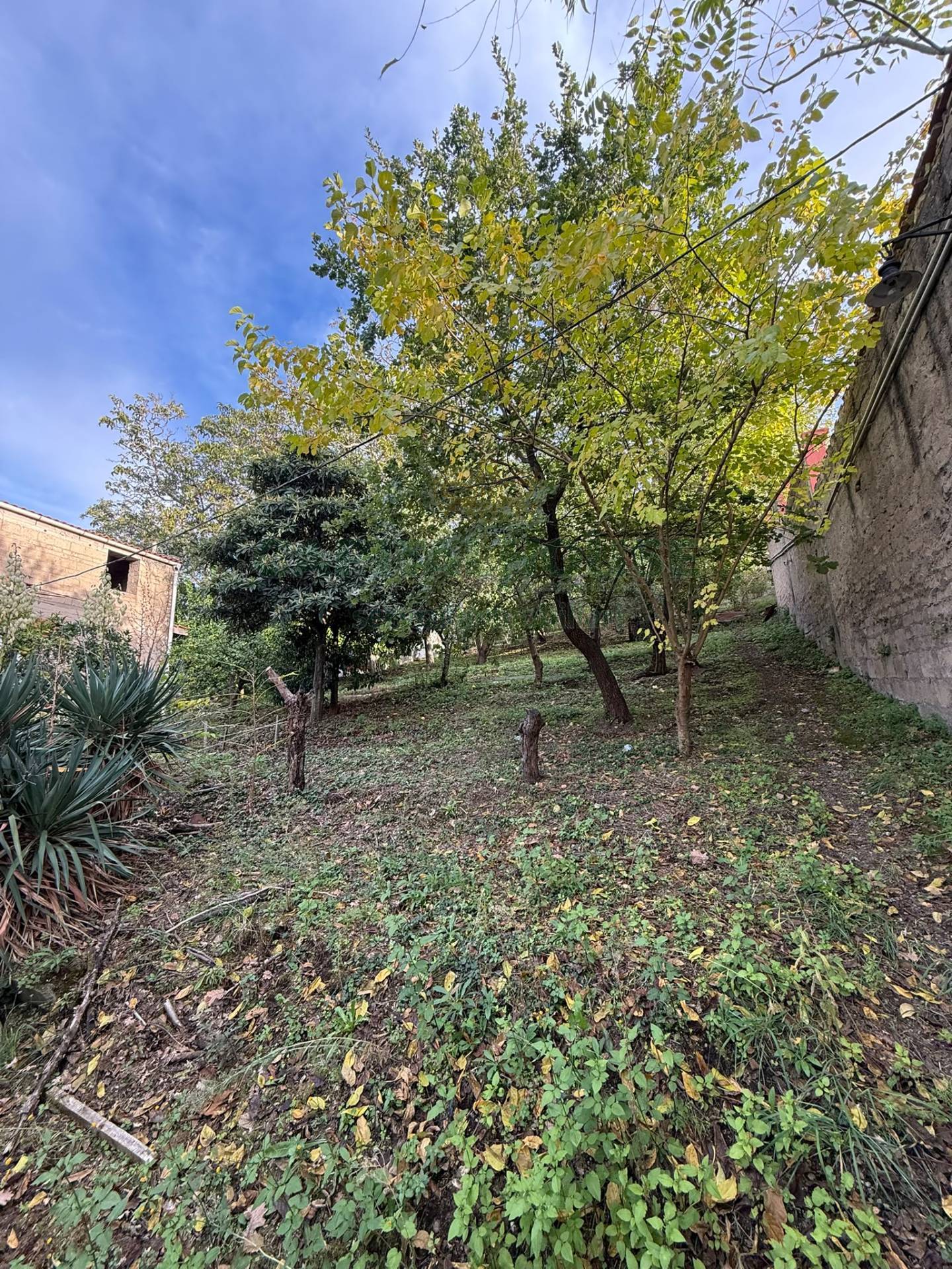 Indipendente in vendita a Palma Campania, vico di palma