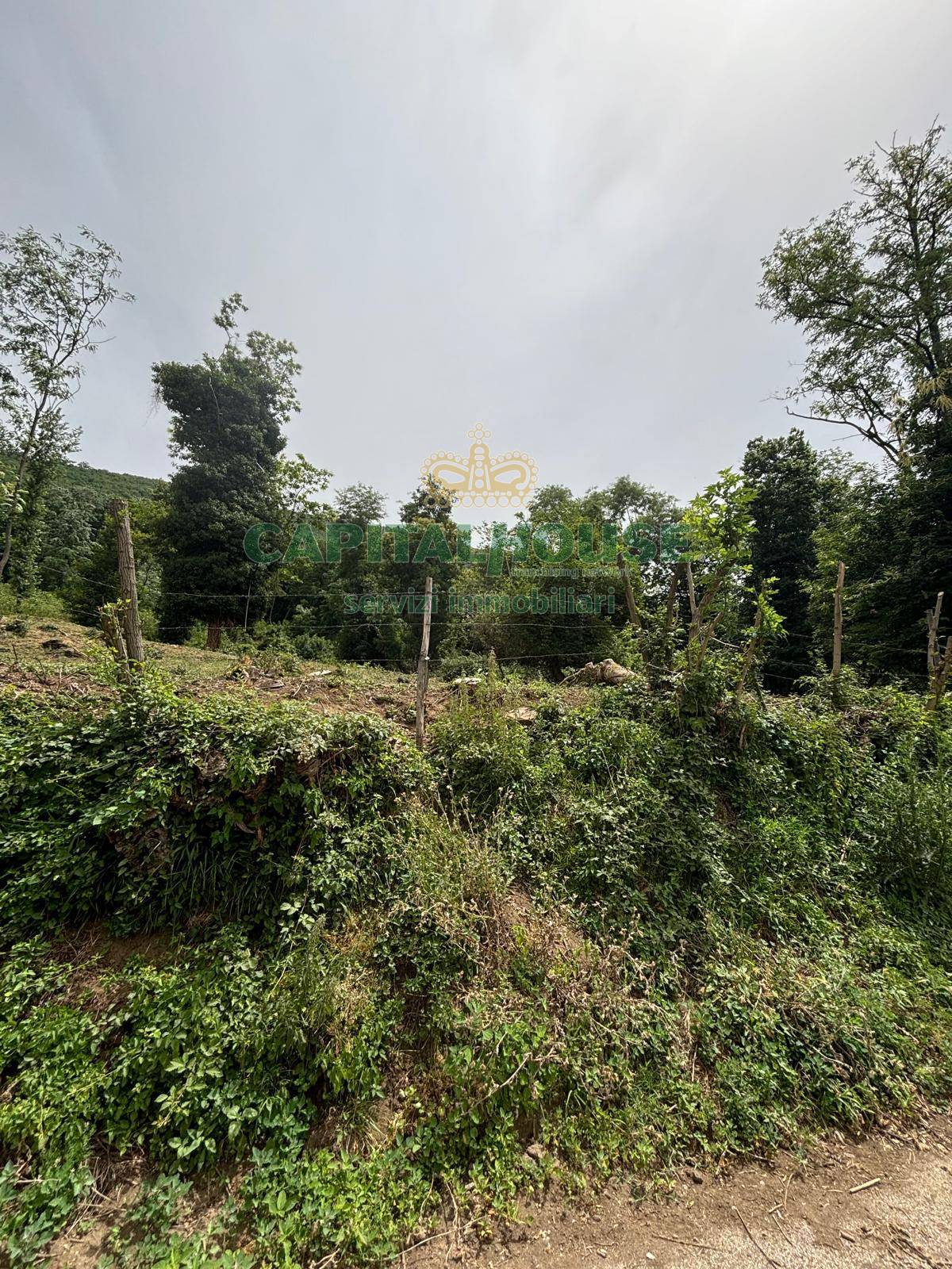 immagine annuncio 5 di 6