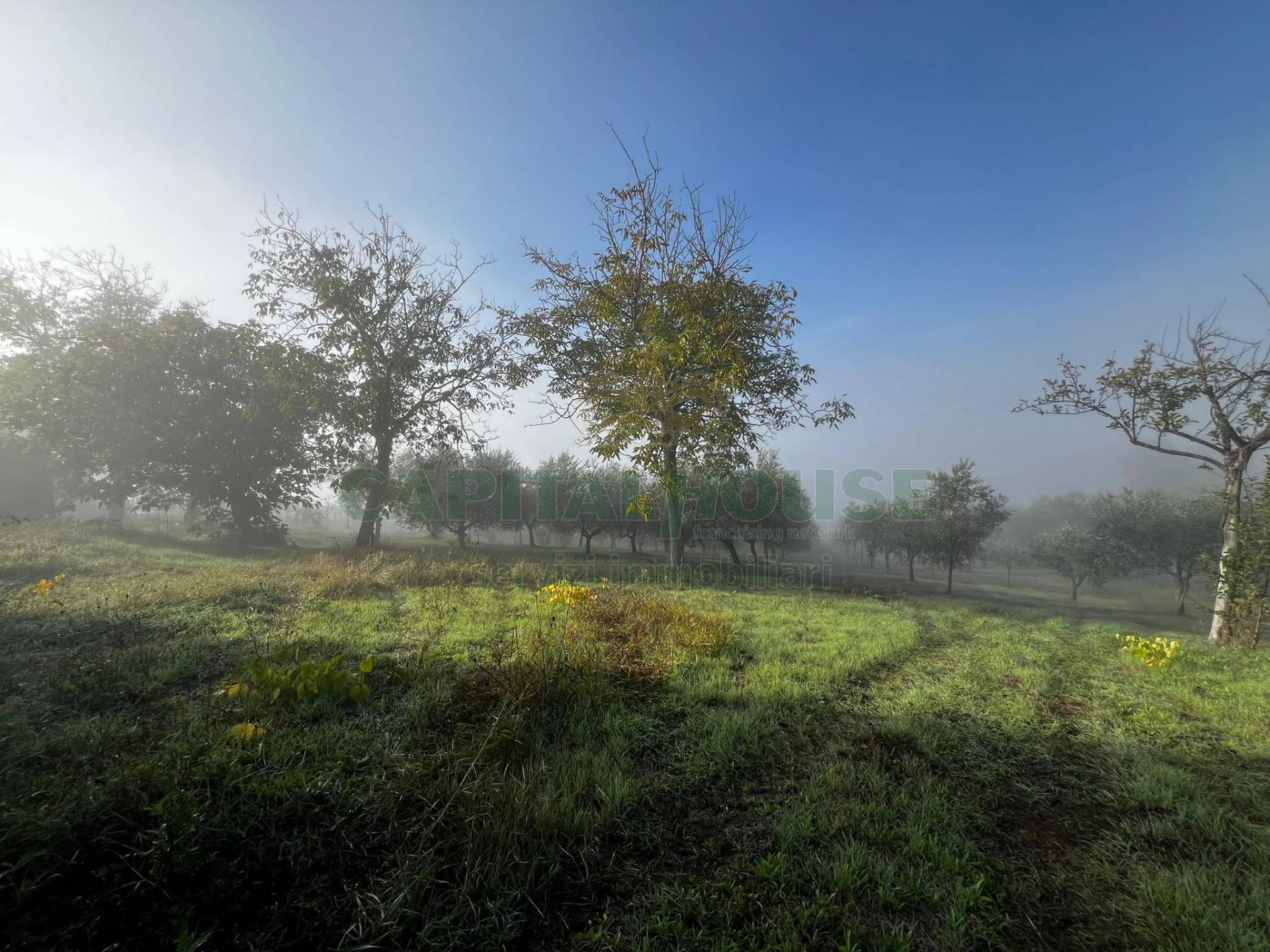 Villette a schiera in vendita a Montemiletto