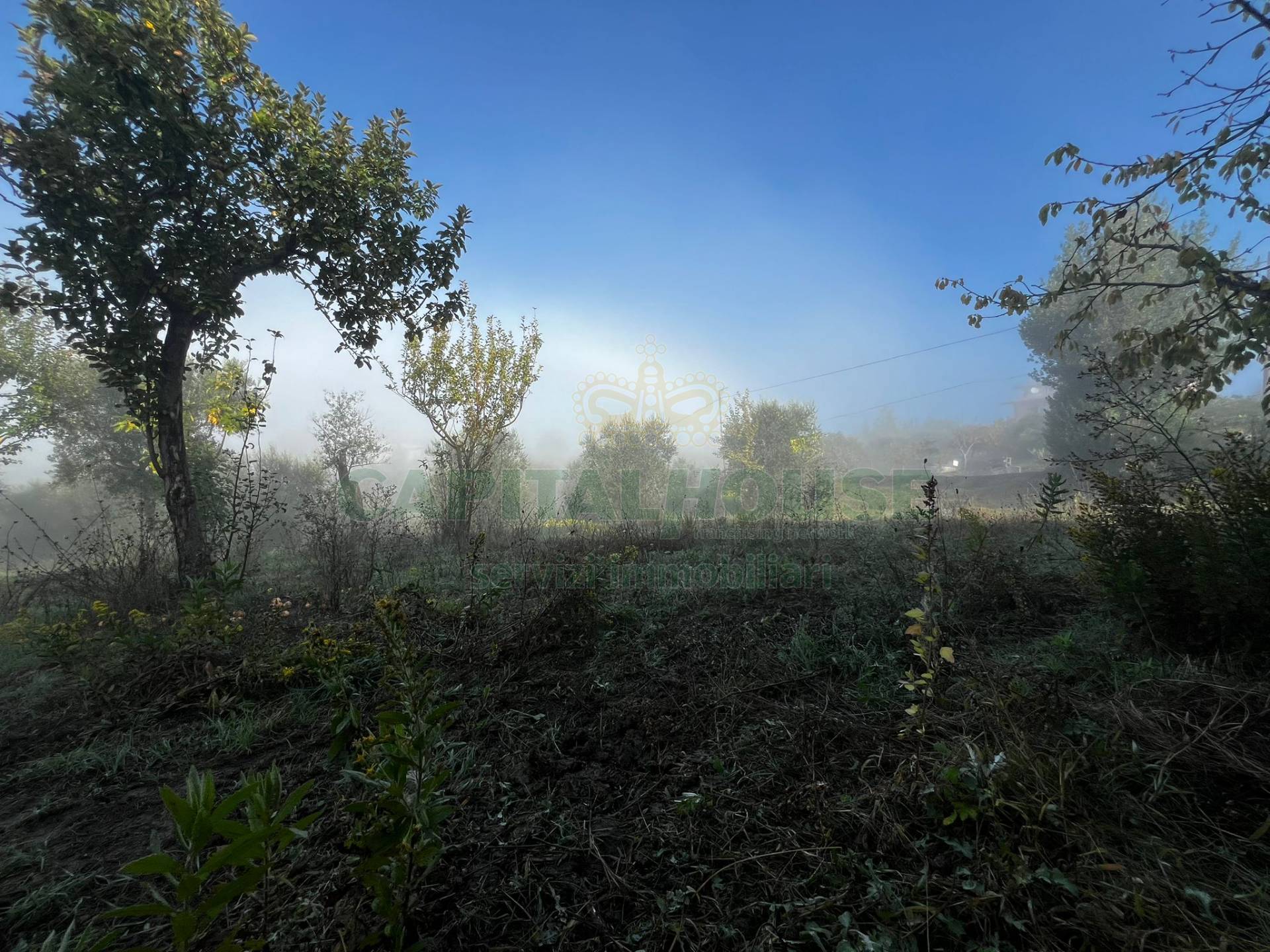 Villette a schiera in vendita a Montemiletto