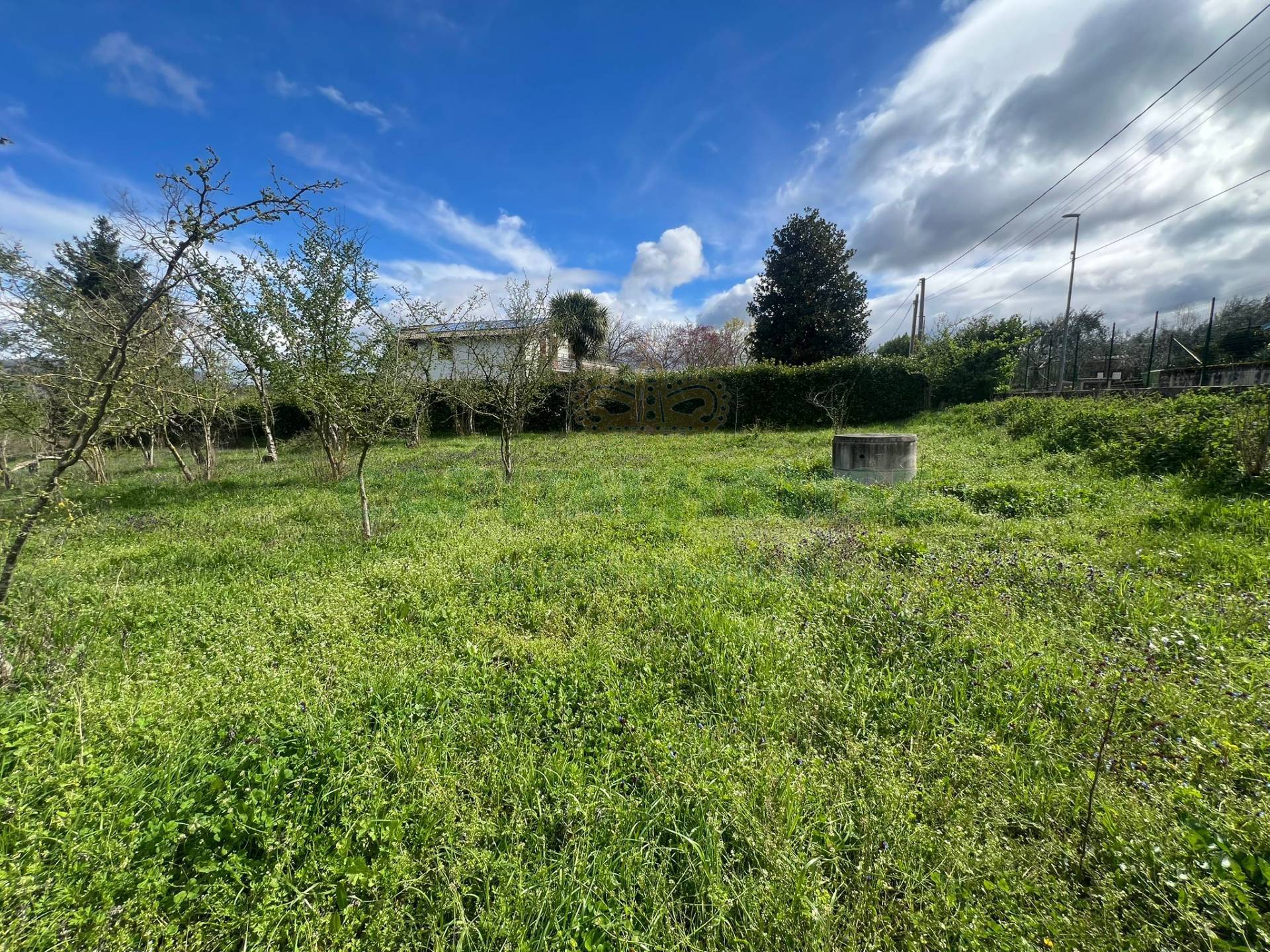 Terreno agricolo in vendita a Prata di Principato Ultra