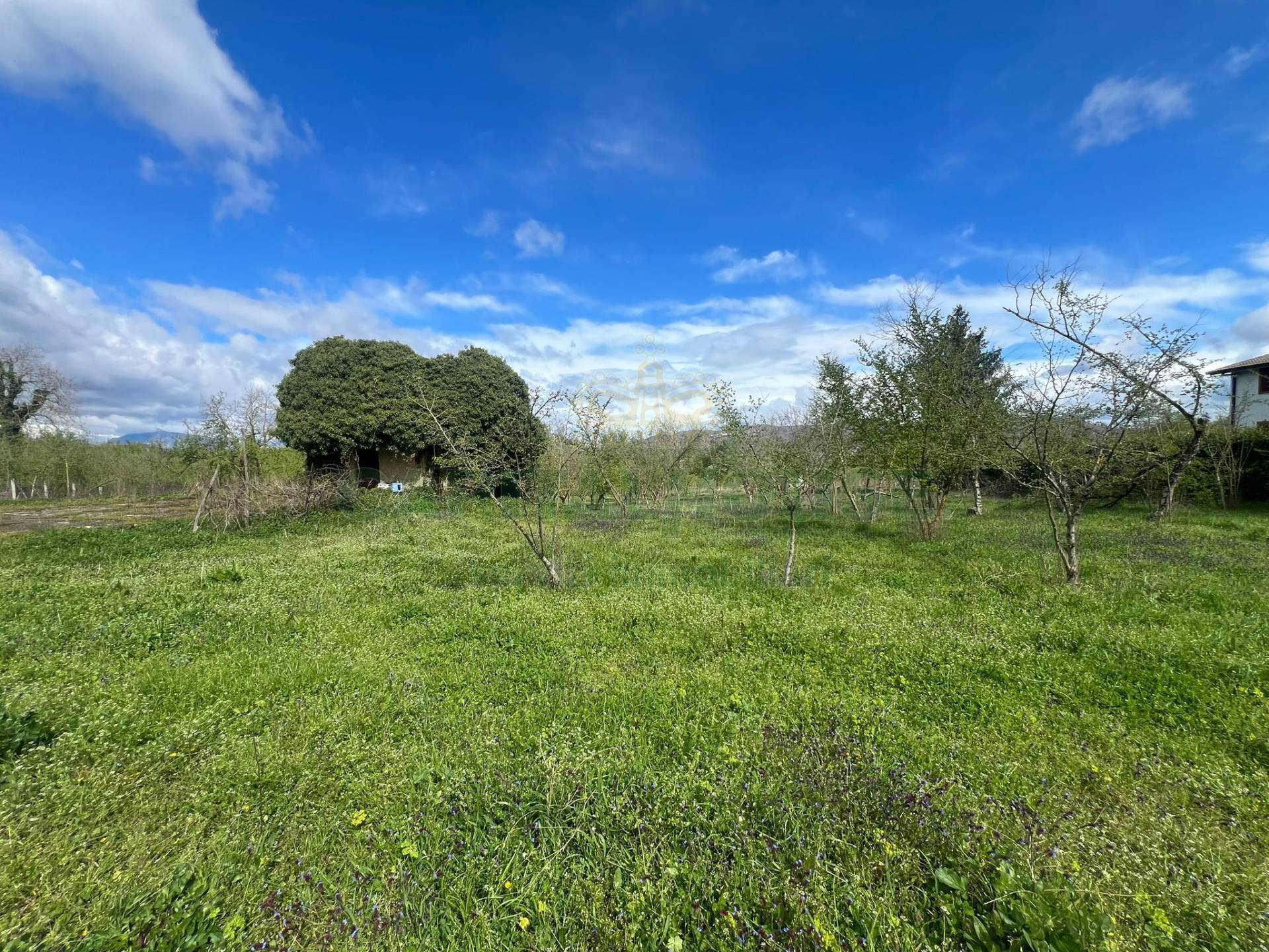 Terreno agricolo in vendita a Prata di Principato Ultra