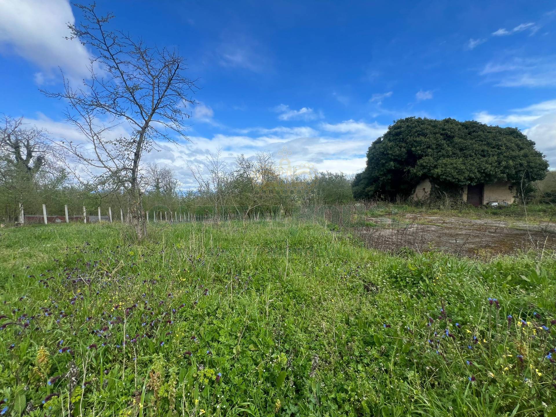 Terreno agricolo in vendita a Prata di Principato Ultra