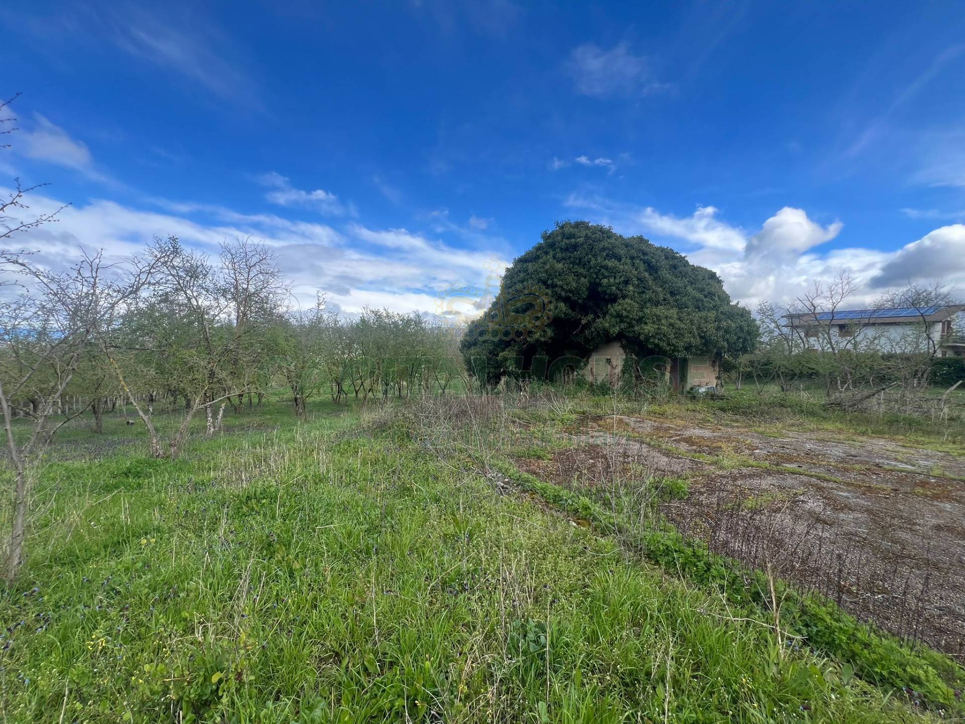 Terreno agricolo in vendita a Prata di Principato Ultra