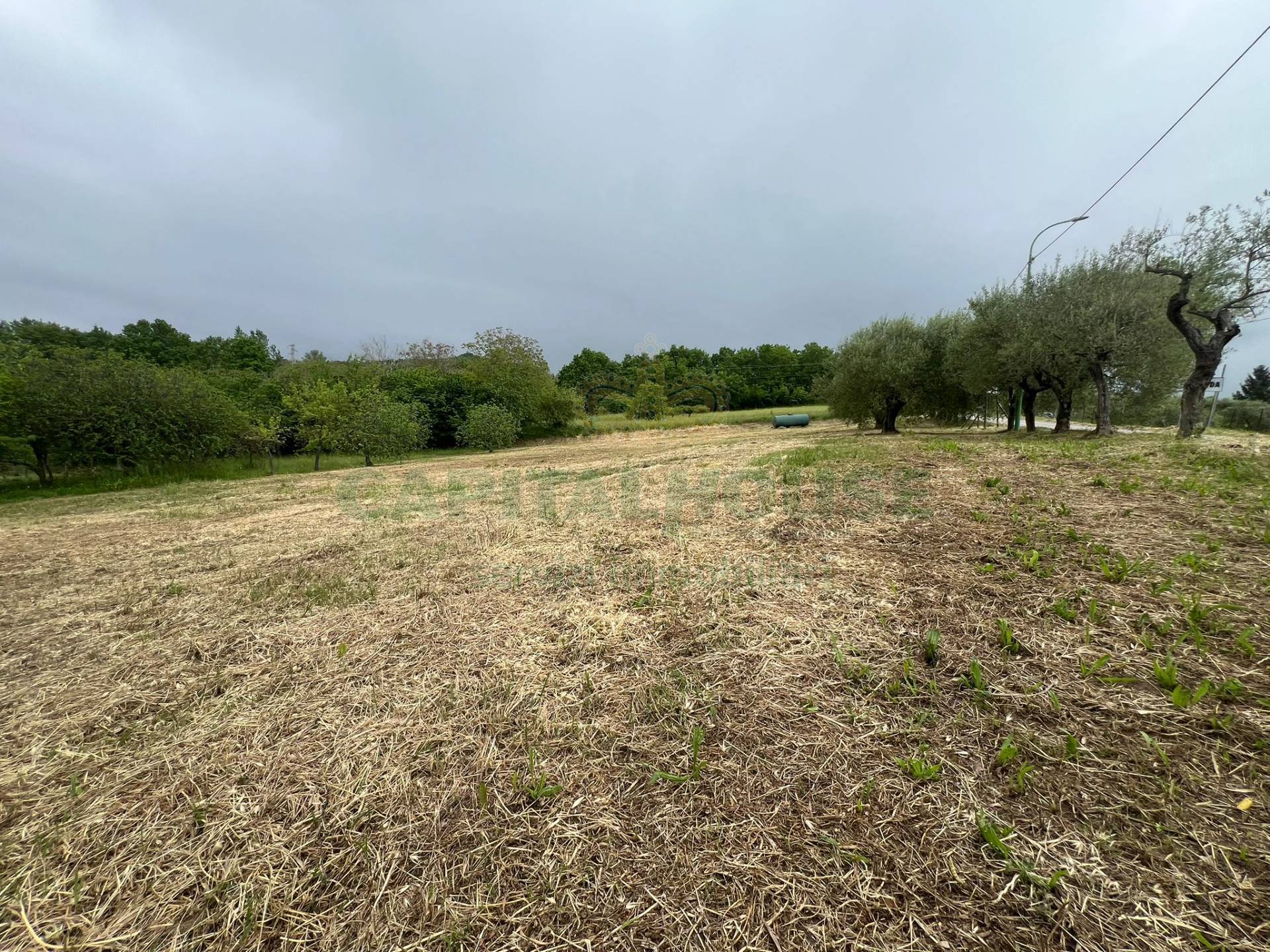 Terreno edificabile in vendita a Candida
