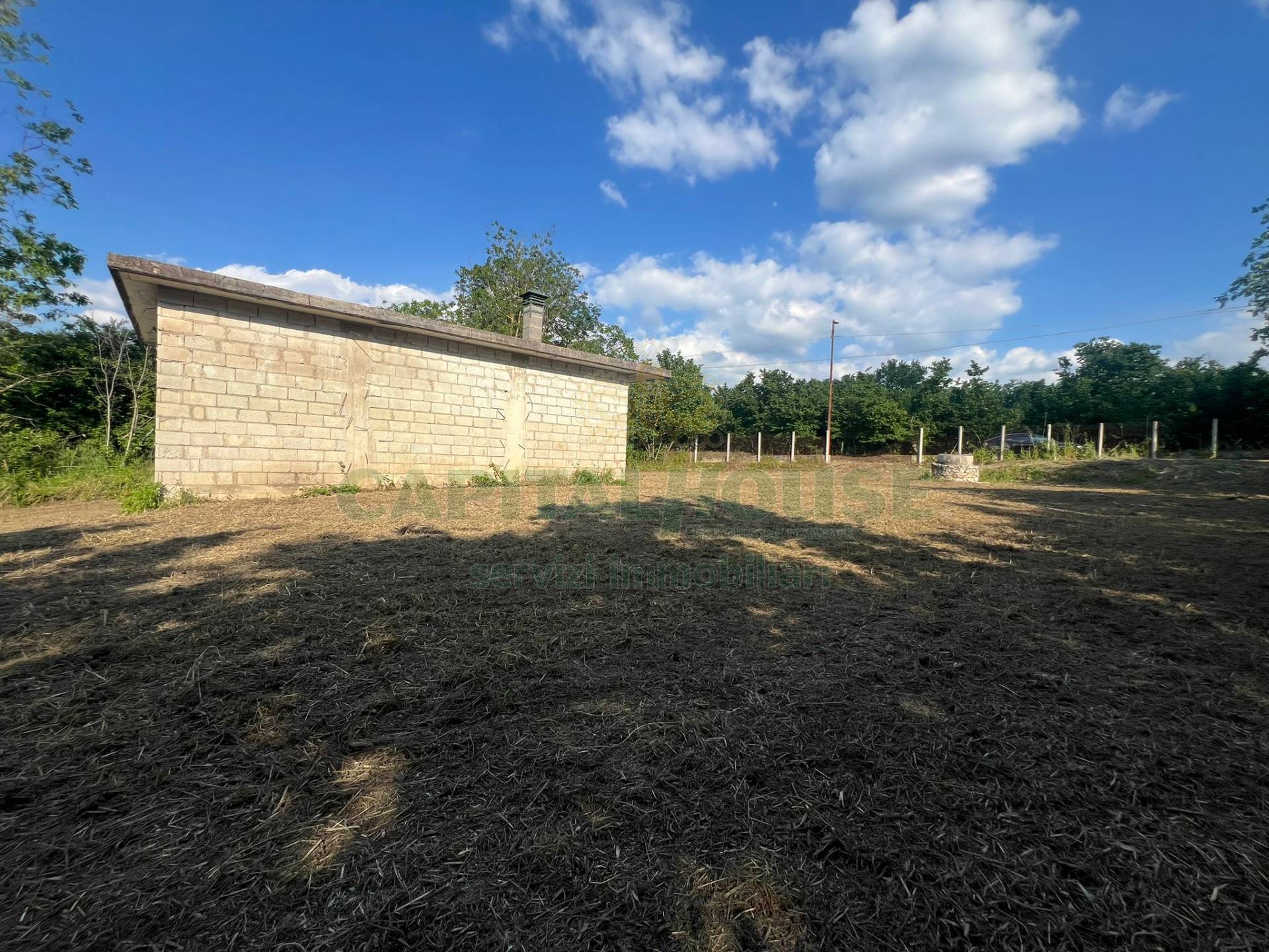 Terreno agricolo - Rudere in vendita a Montefredane