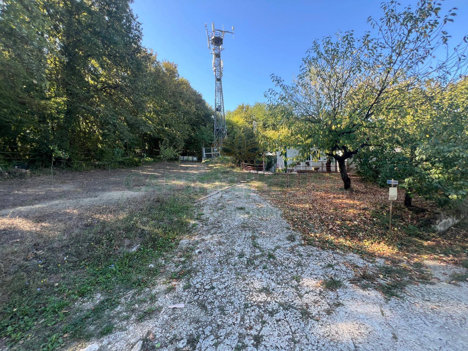 Terreno agricolo in vendita a Prata di Principato Ultra