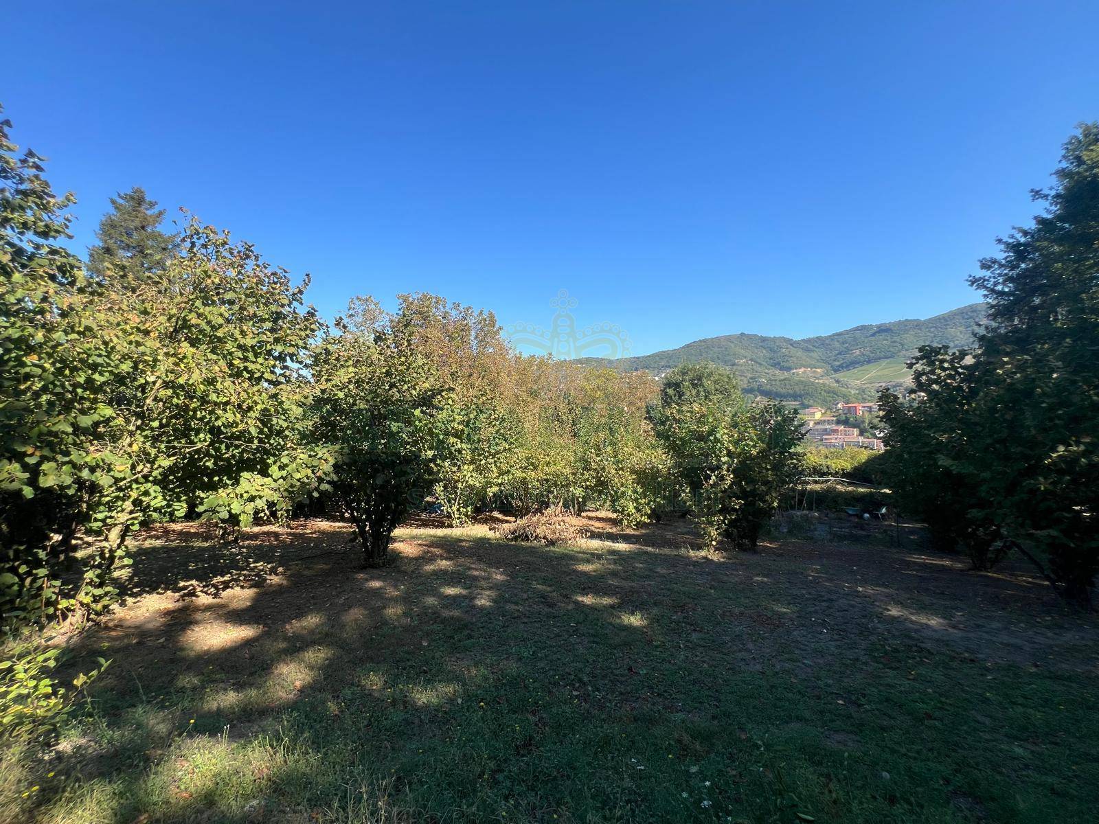 Terreno agricolo in vendita a Prata di Principato Ultra