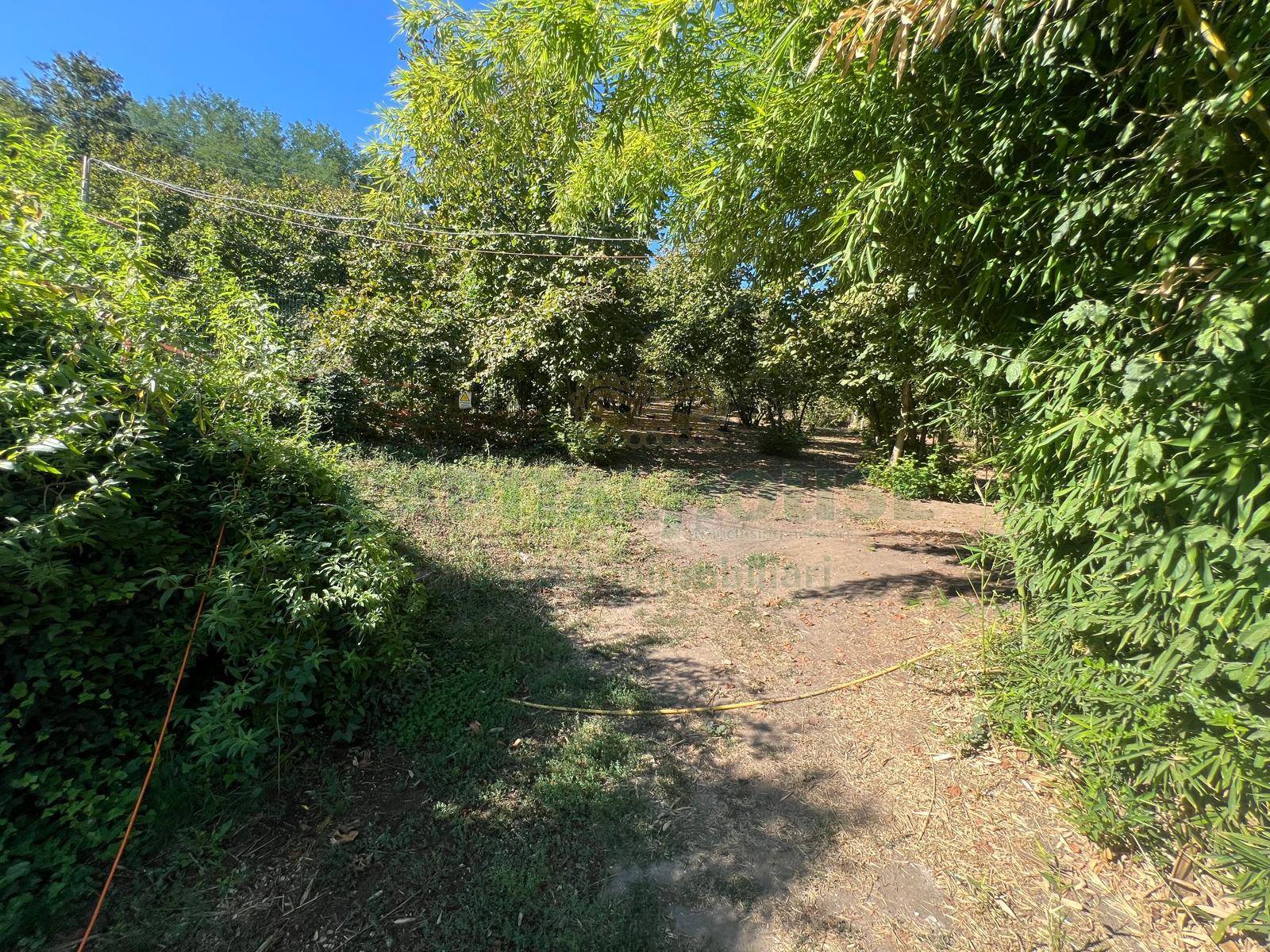 Terreno agricolo in vendita a Prata di Principato Ultra