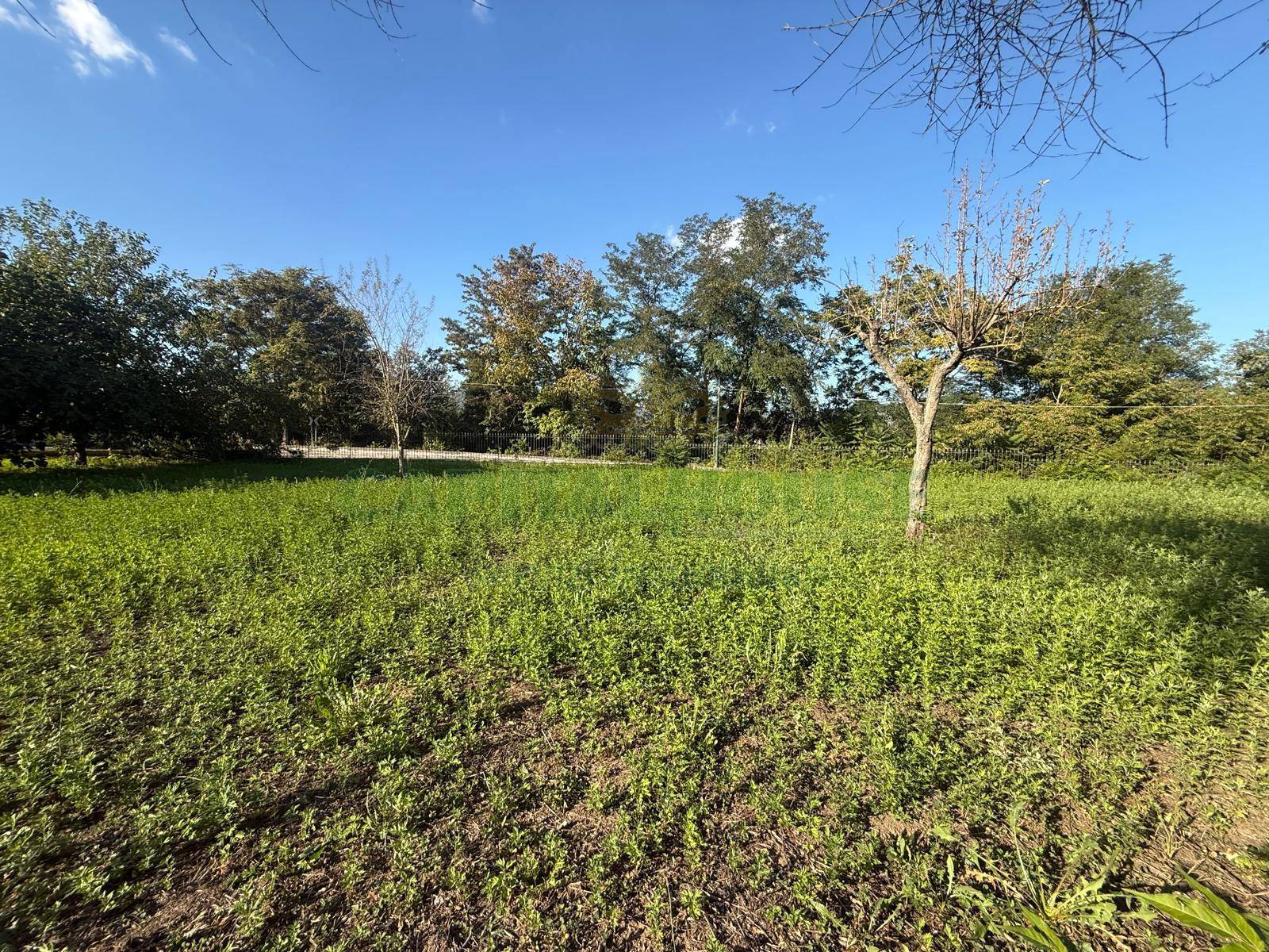 Terreno edificabile in vendita a Pratola Serra