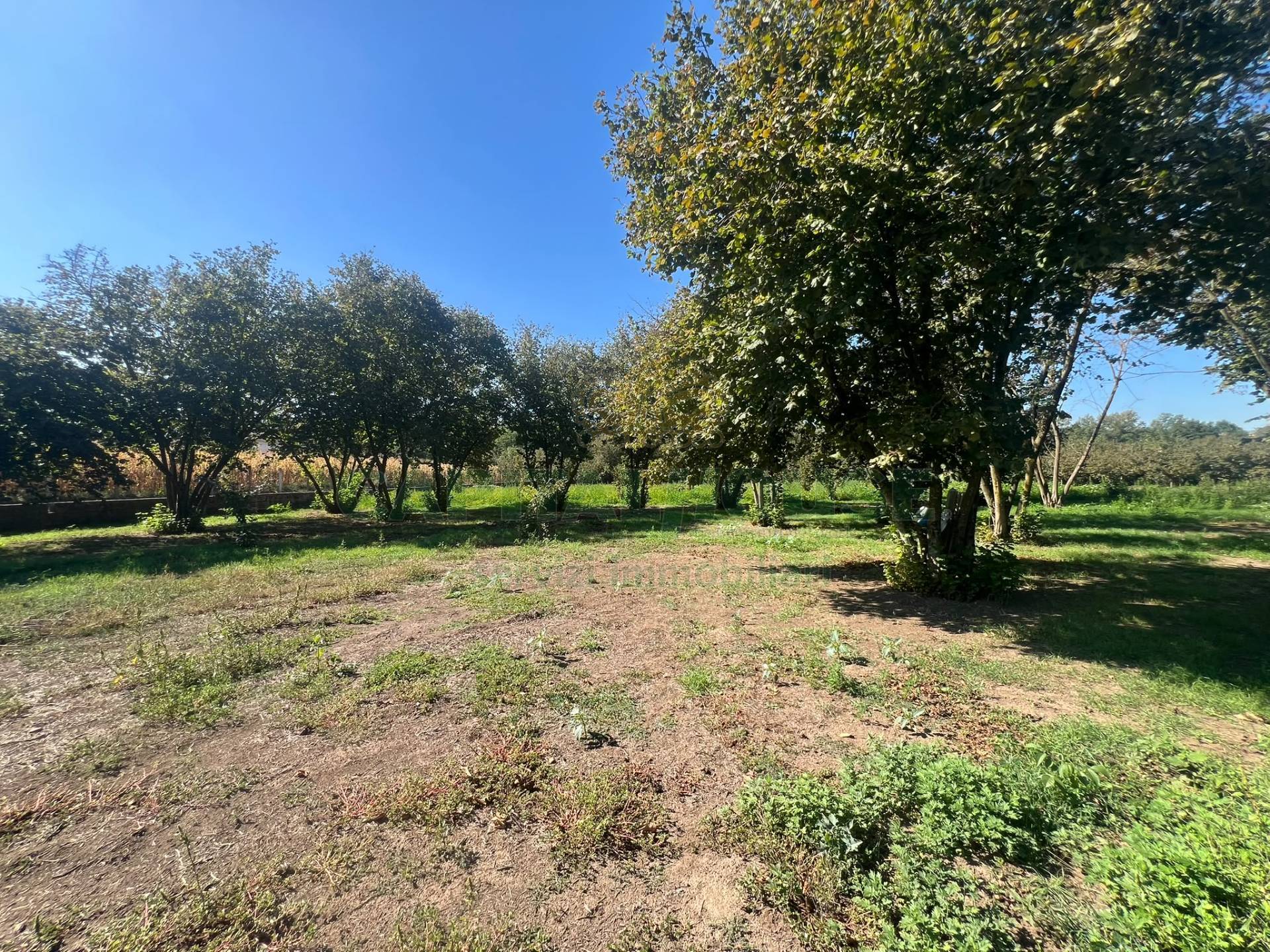Terreno agricolo in vendita a San Michele di Serino