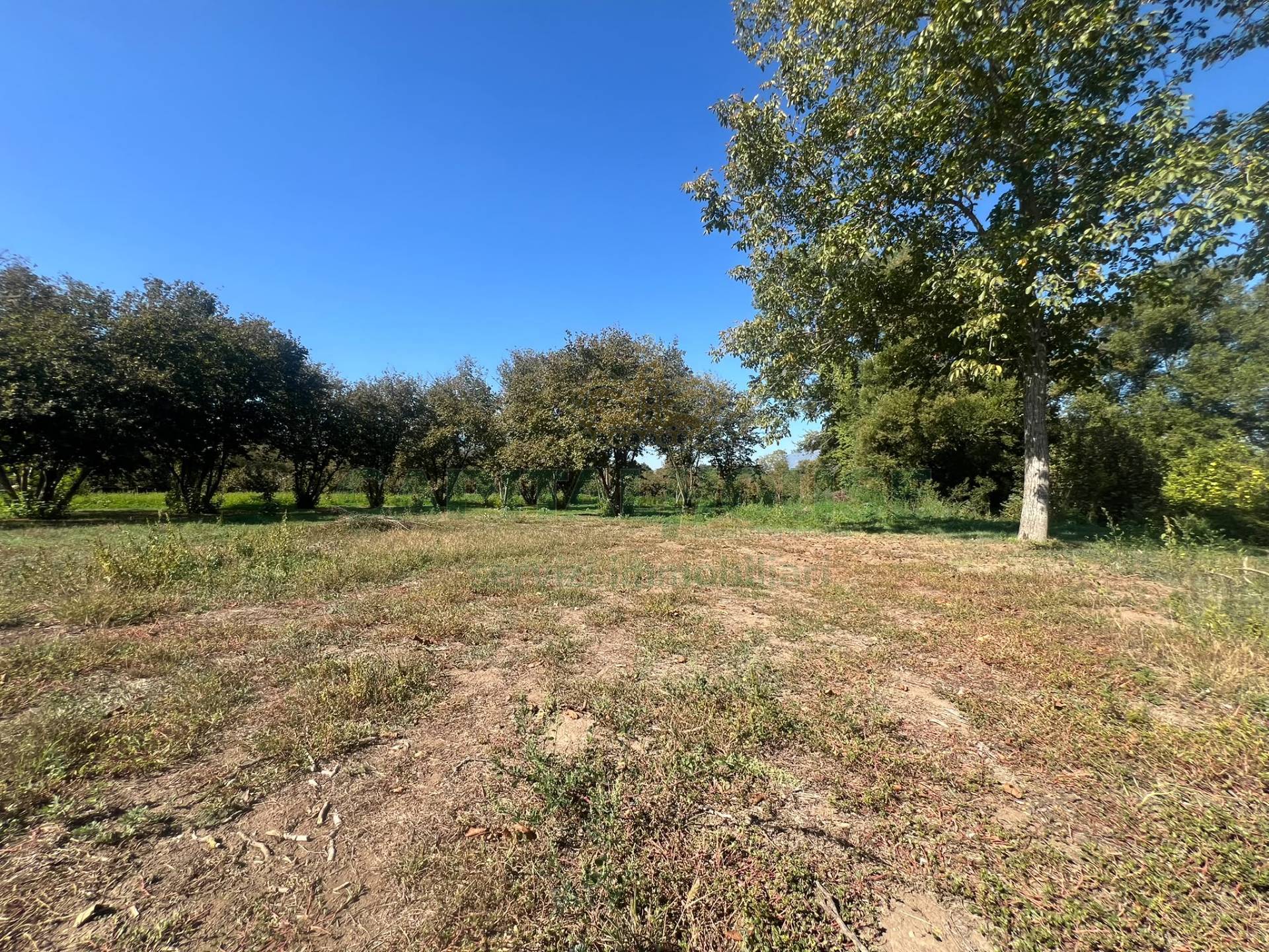 Terreno agricolo in vendita a San Michele di Serino