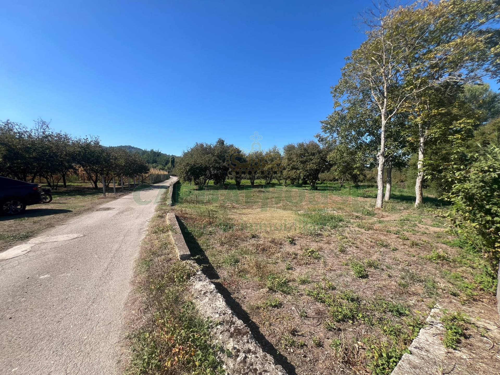 Terreno agricolo in vendita a San Michele di Serino