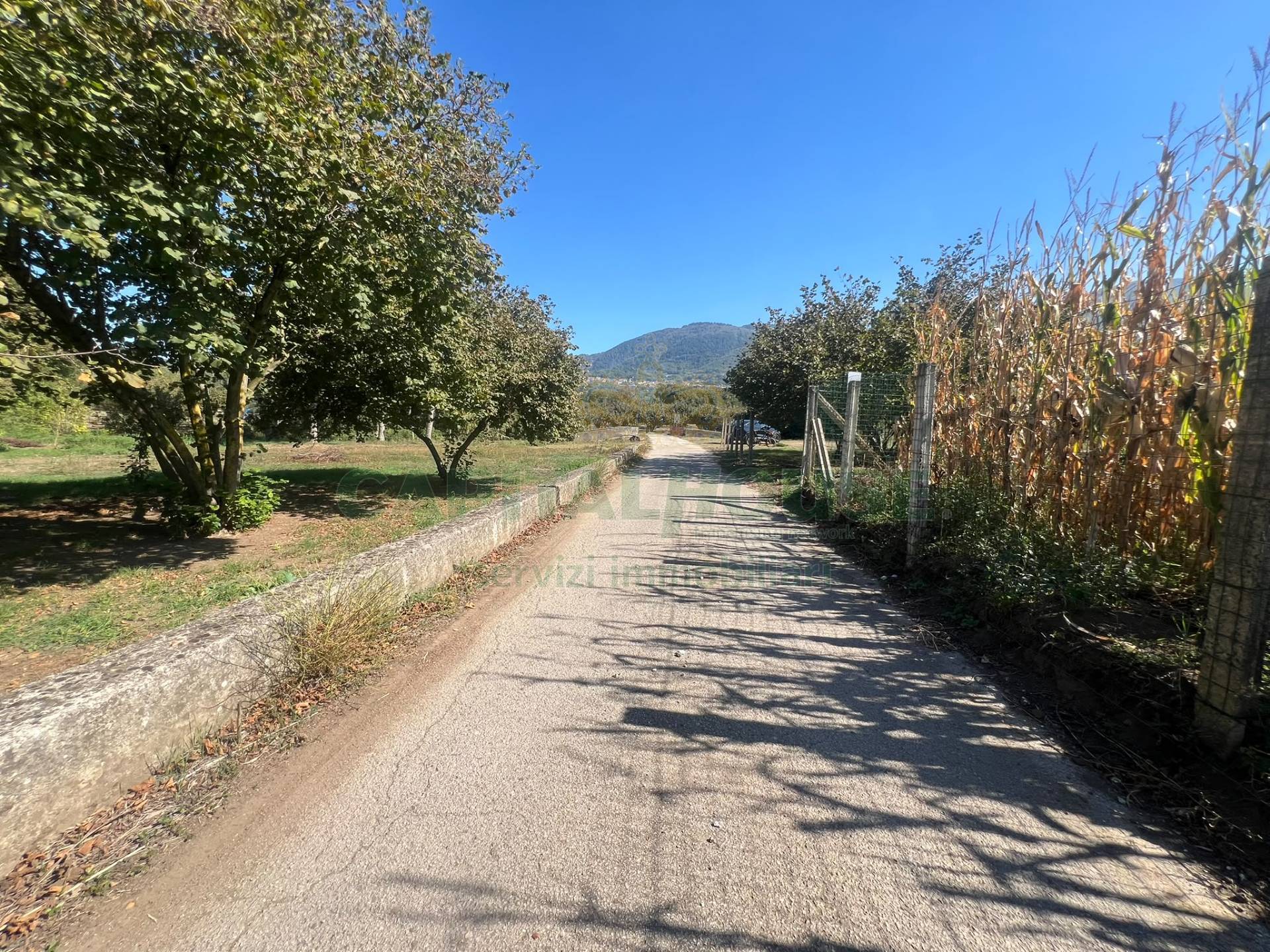 Terreno agricolo in vendita a San Michele di Serino