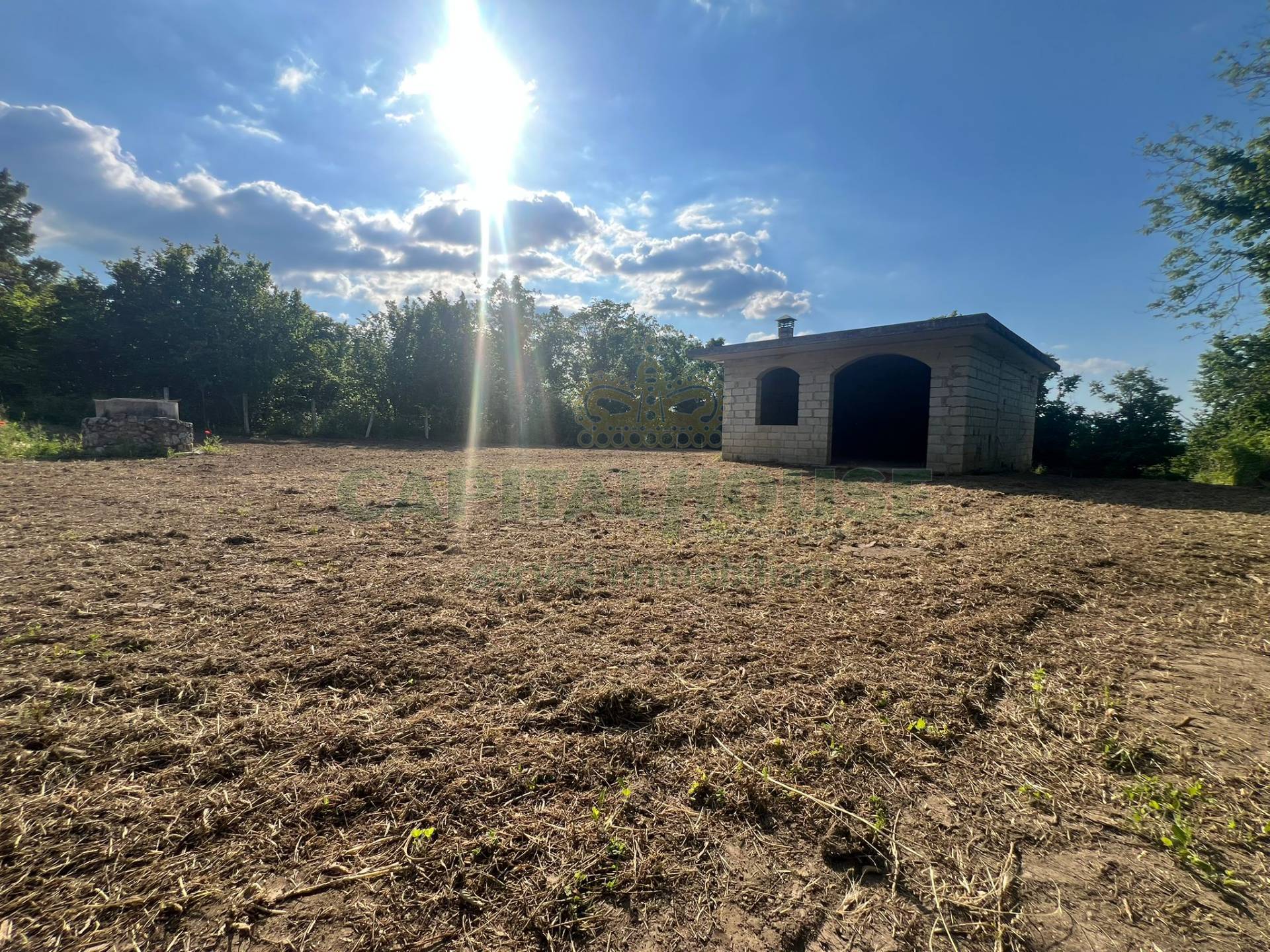 Terreno agricolo - Rudere in affitto a Montefredane