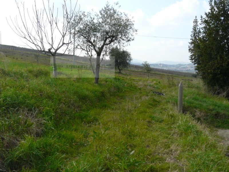 Casolare in vendita a Torano Nuovo