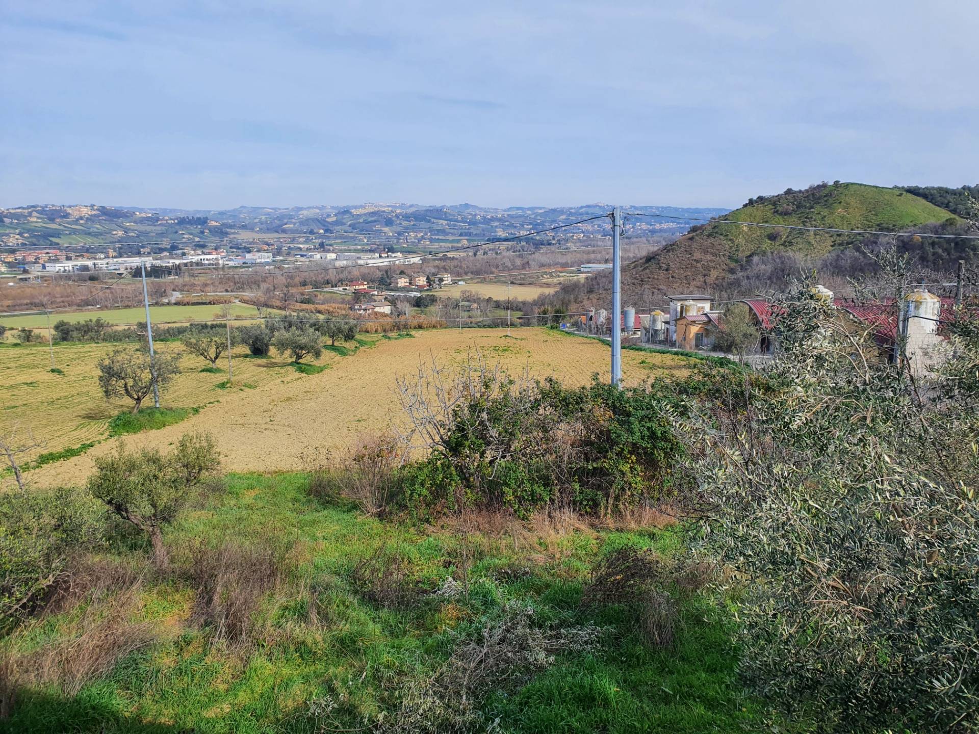 immagine annuncio 4 di 6