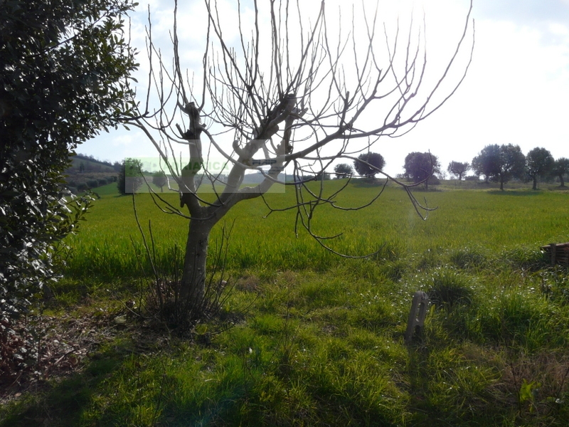 Casolare in vendita a Torano Nuovo