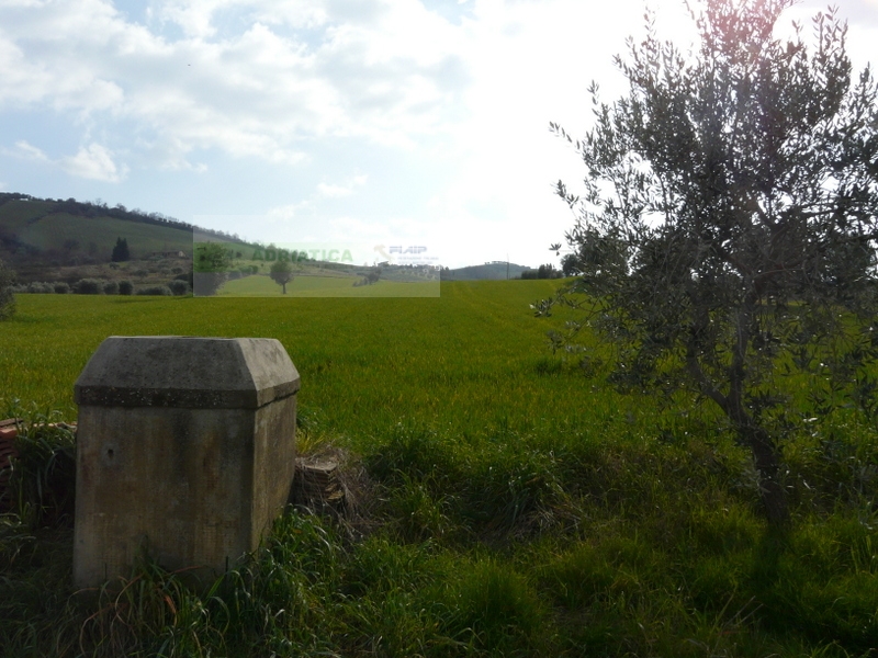 Casolare in vendita a Torano Nuovo