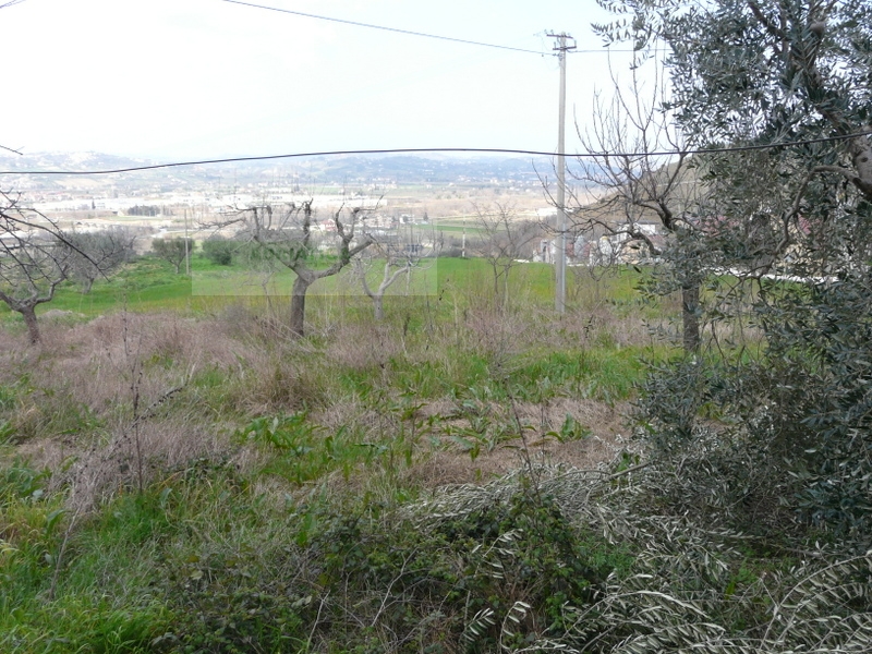 Casolare in vendita a Torano Nuovo