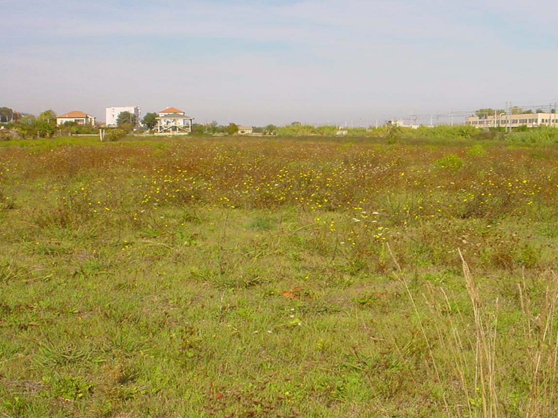Terreno edificabile in vendita a Martinsicuro