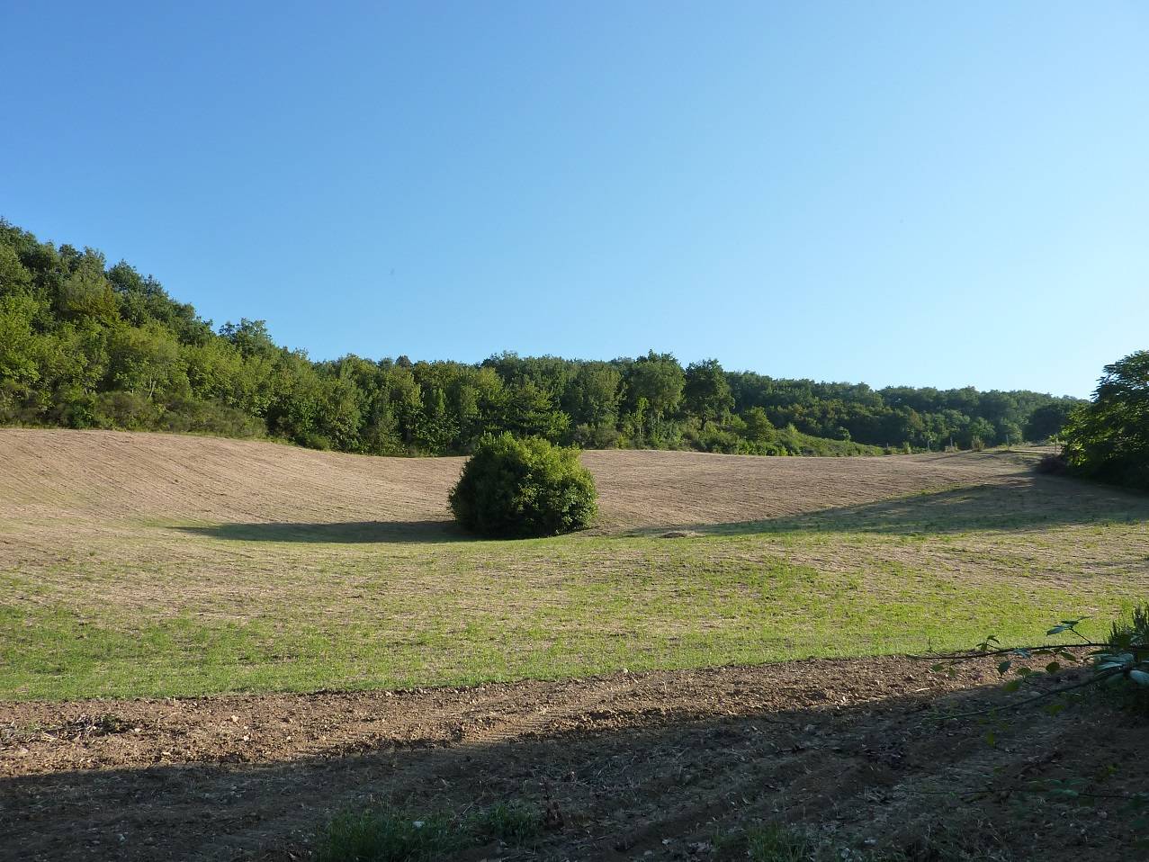Terreno Agricolo in vendita a Ripatransone