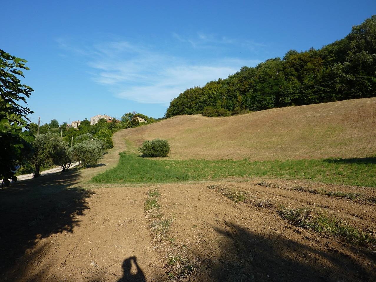 Terreno Agricolo in vendita a Ripatransone