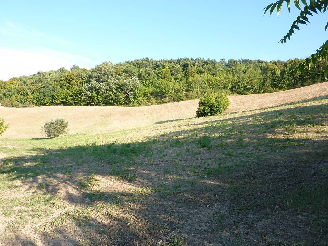Terreno Agricolo in vendita a Ripatransone